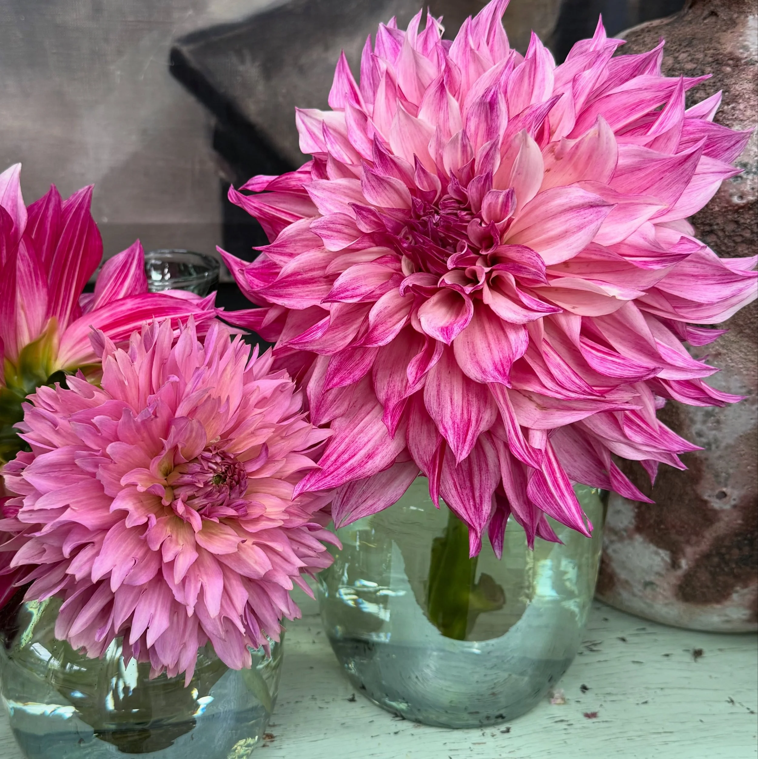 Dahlienfreude💗💗

#dahlien #blumen #decoration #florist #oberwilbeizug