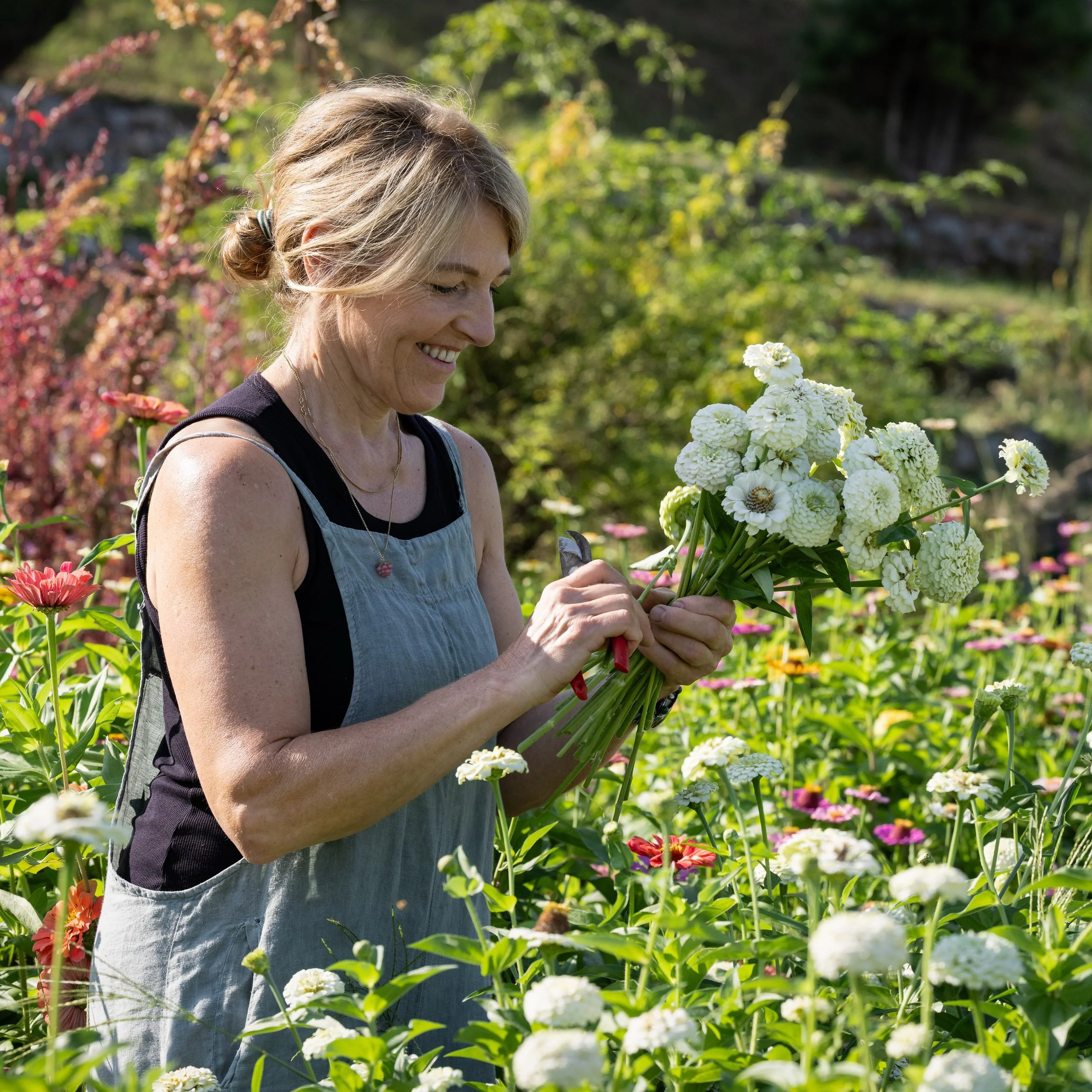 und weiter geht der Sommer🌸

Bild: @nicolesepp.photography 

#garten #september #flowers #stadtzug #summer