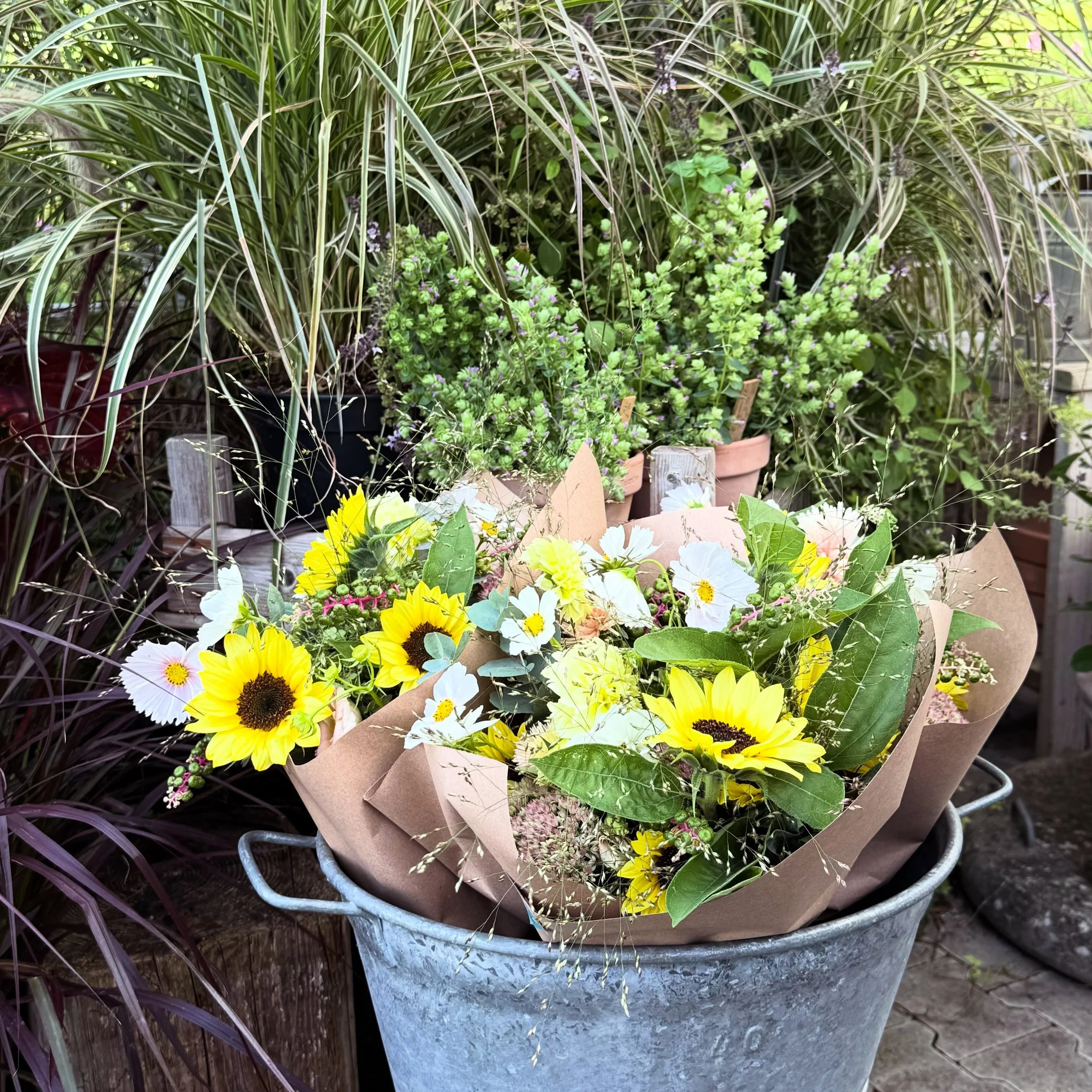 Sommerblumenstr&auml;usse  mit Limoncello Sonnenblumen.

#sommerblumen #sonnenblumen #gartenstrauss #stadtzug #september