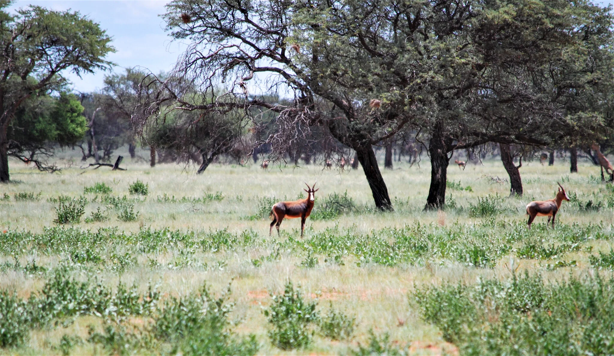 DSC_01131.jpg