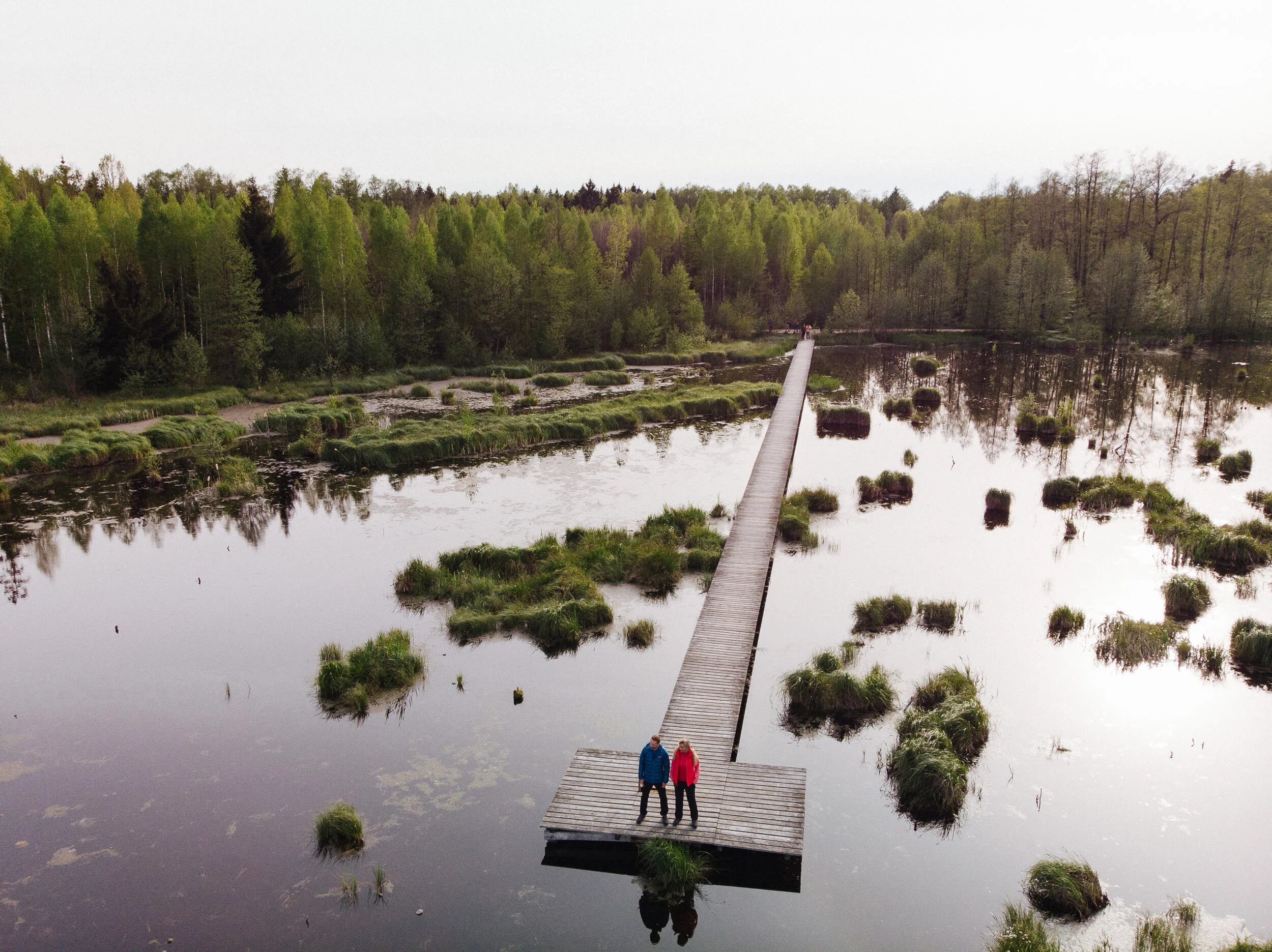 An aerial view of a narrow wooden footbridge extending over a calm wetland with patches of grass, surrounded by a dense forest of deciduous and evergreen trees.