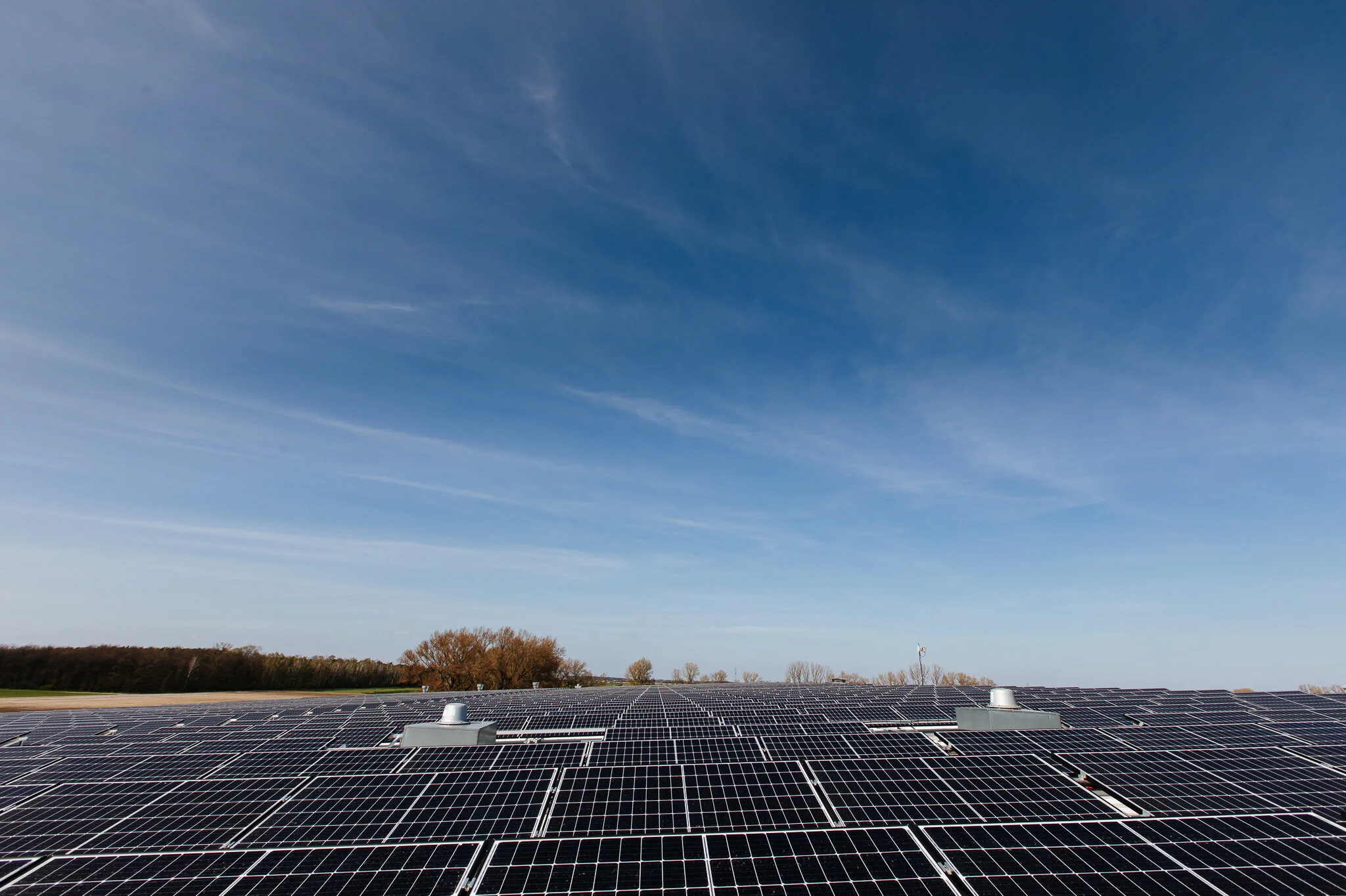 Wide view of a solar panel array under a clear blue sky with a few clouds and trees in the background.