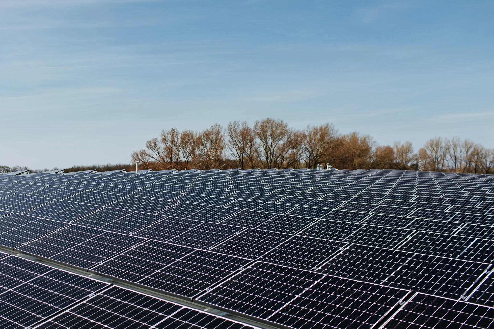 A large array of solar panels installed outdoors with a background of trees and a clear sky.