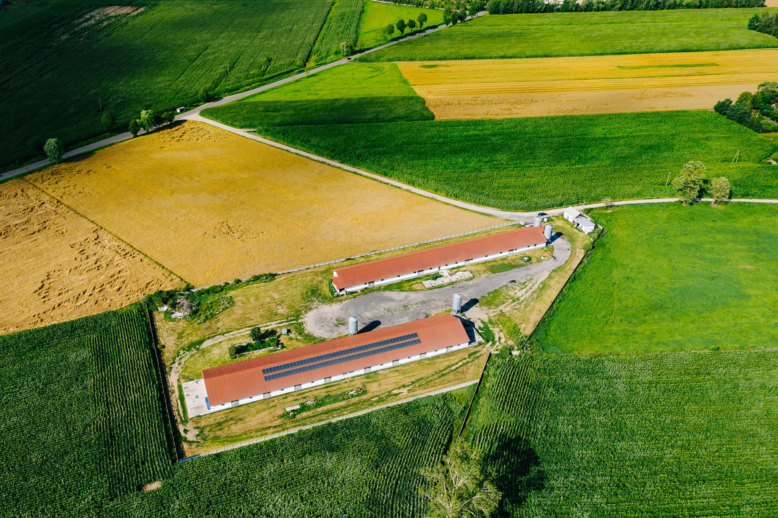 Aerial view of a farm with two long buildings, some covered in solar panels, surrounded by green and yellow fields.