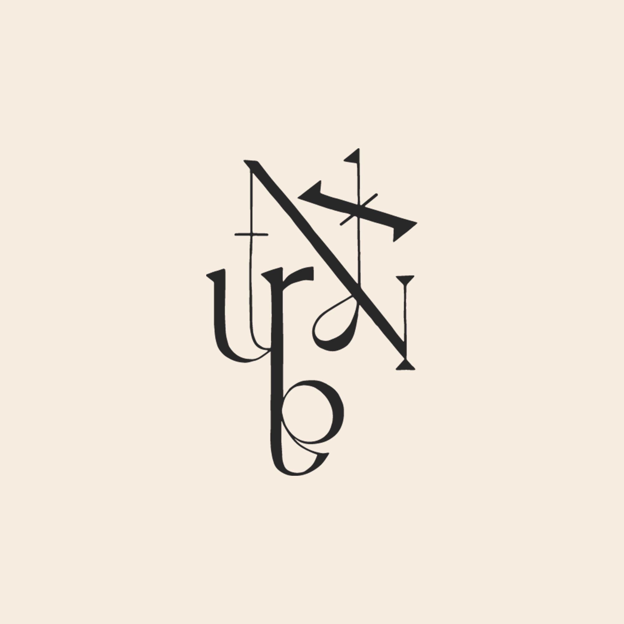 nyxturna-logo4.jpg
