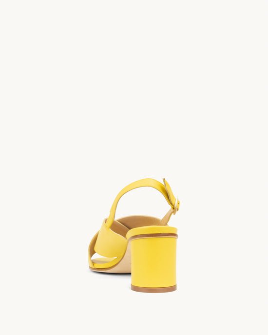 WINOES_Yellow_AC231025-700_Back_42da9641-a915-4740-a50e-9b253f14c3b6_550x.jpg
