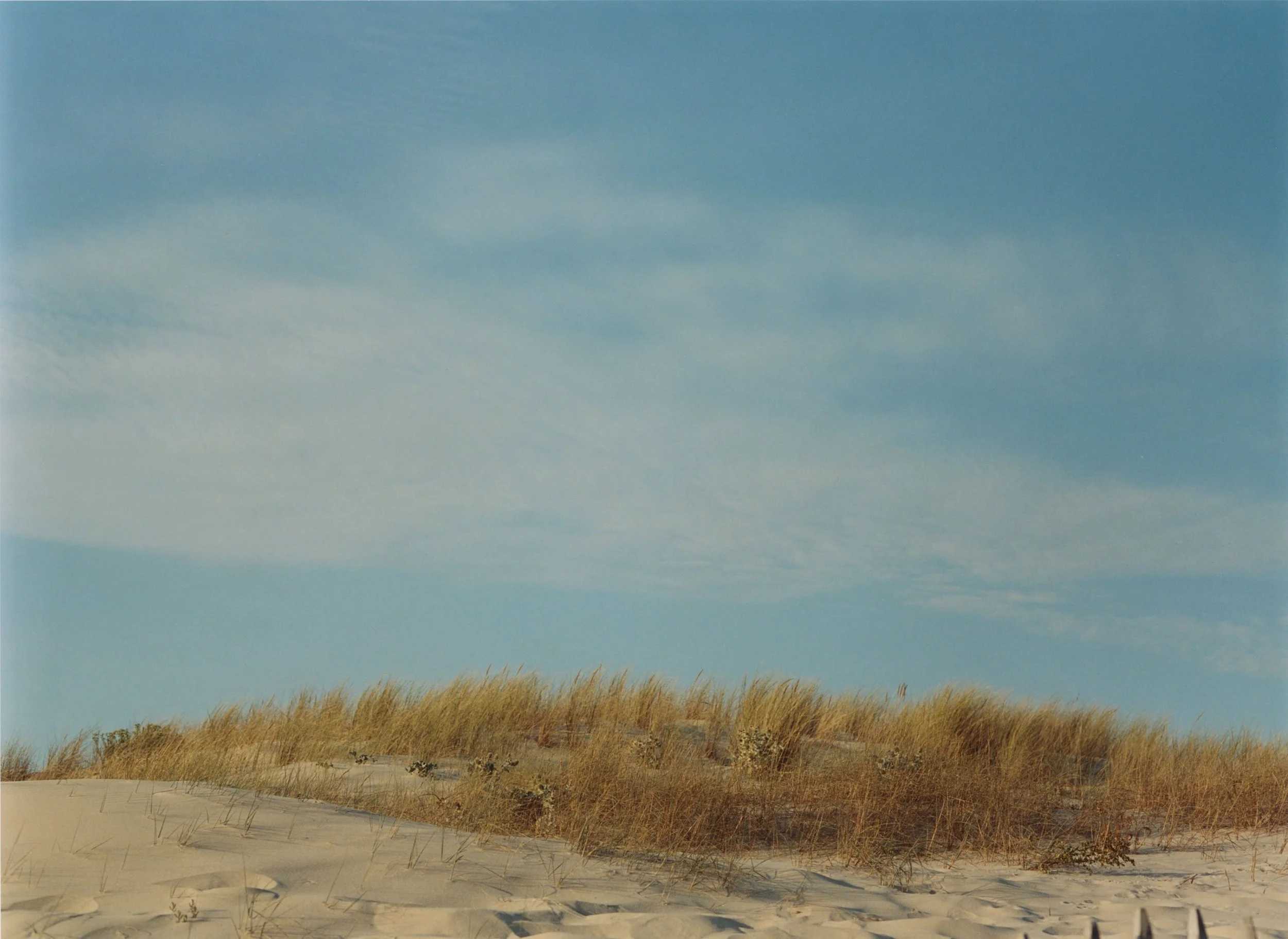 CONTIS PLAGE (6).jpeg