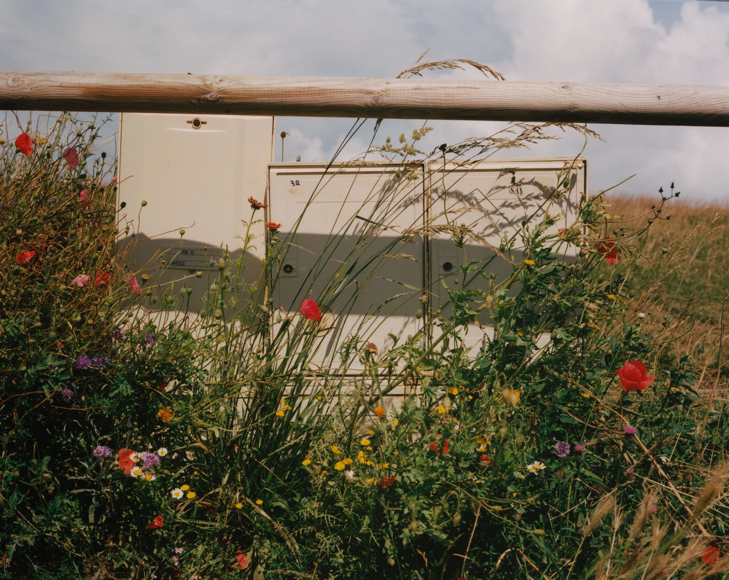 NORMANDIA STAMPE (3).jpeg