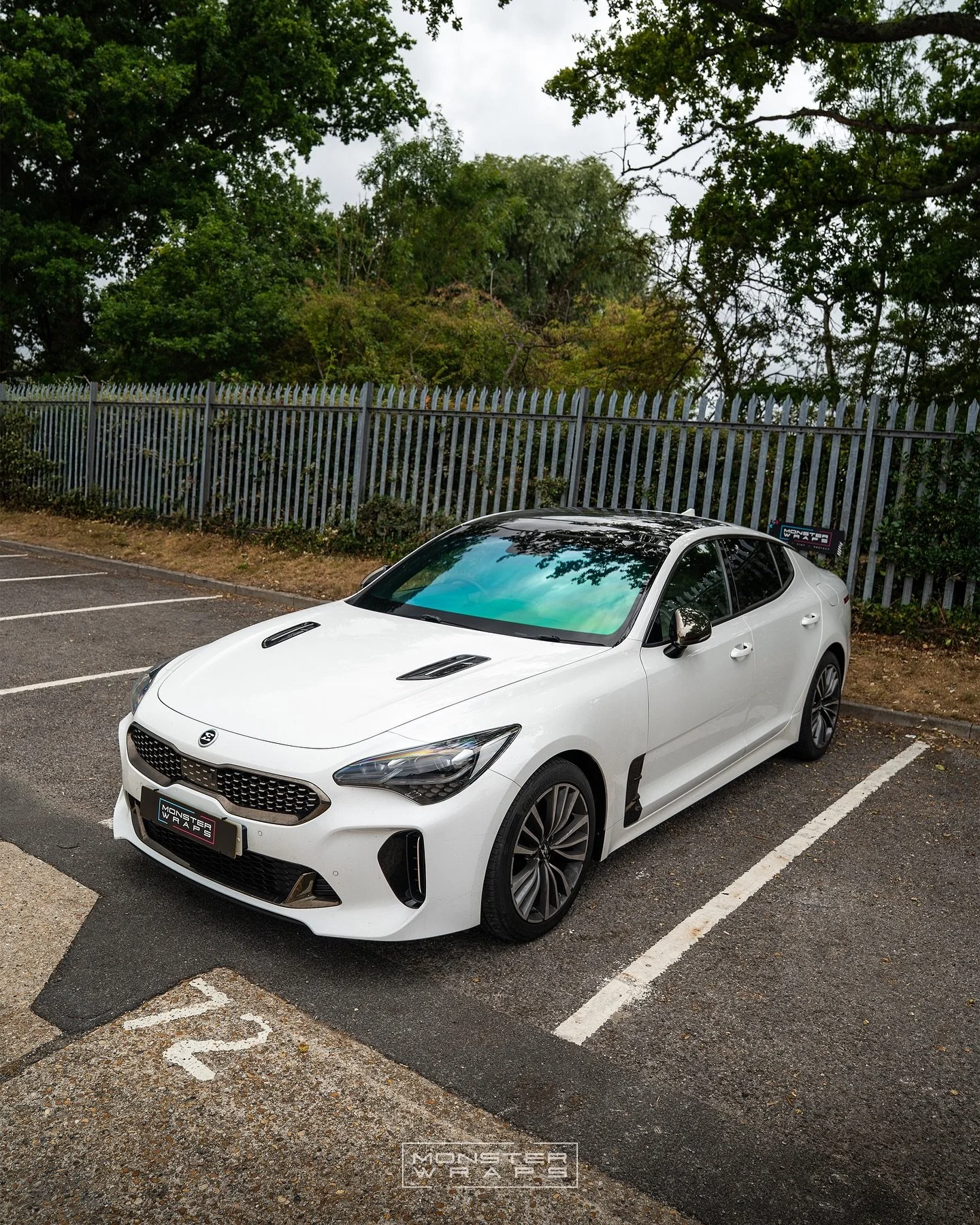 CHAMELEON Colours 🌈🦎🤩 Here are some of the cars that we have tinted over the last 10 months with our chameleon tinted films! 👊 Which colour is your favourite? 🫢 #chameleontint 

Just so you know! 👋 Our chameleon tint films are 100% LEGAL for UK