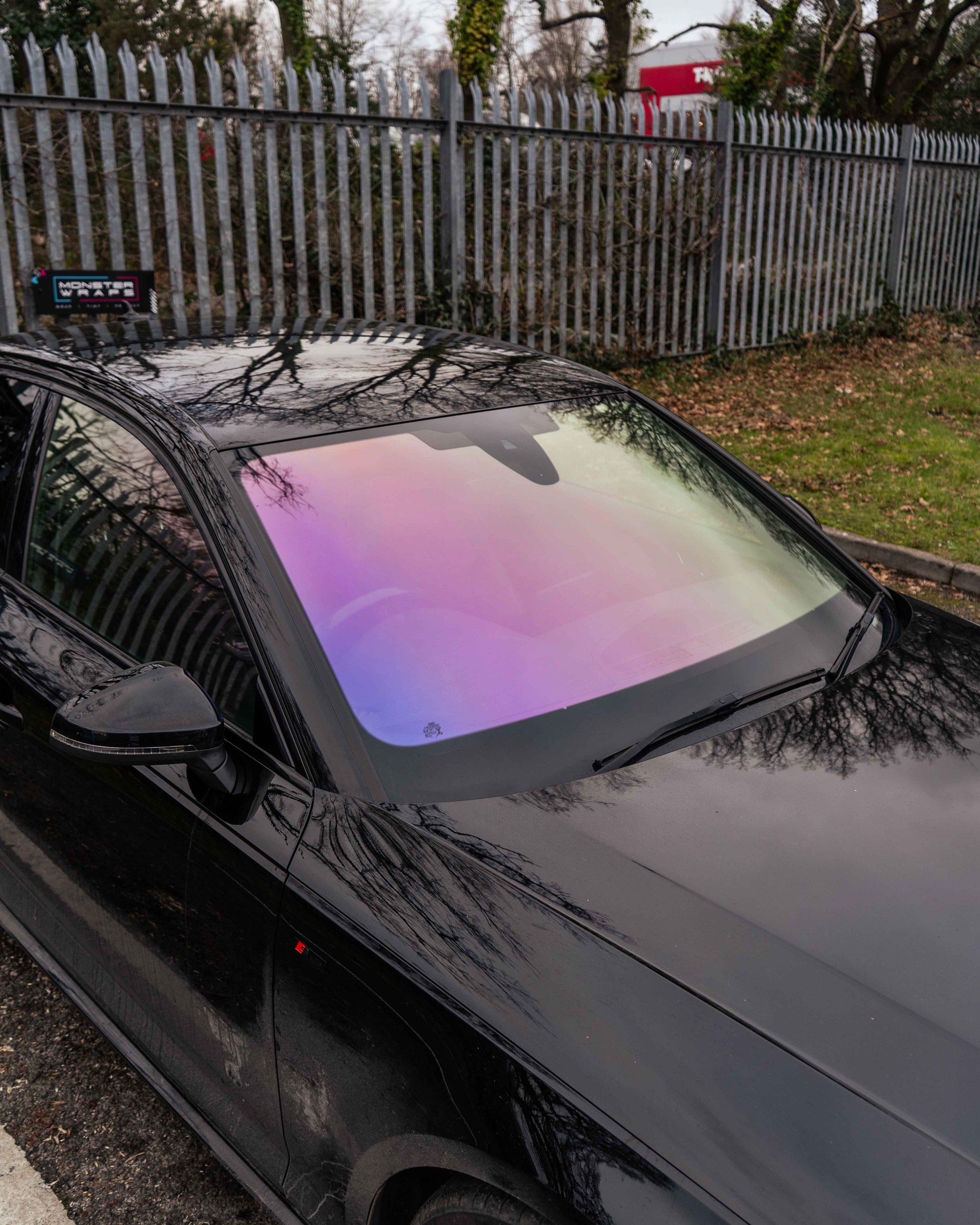 Purple Mist [Pink Gold] Chameleon.jpg