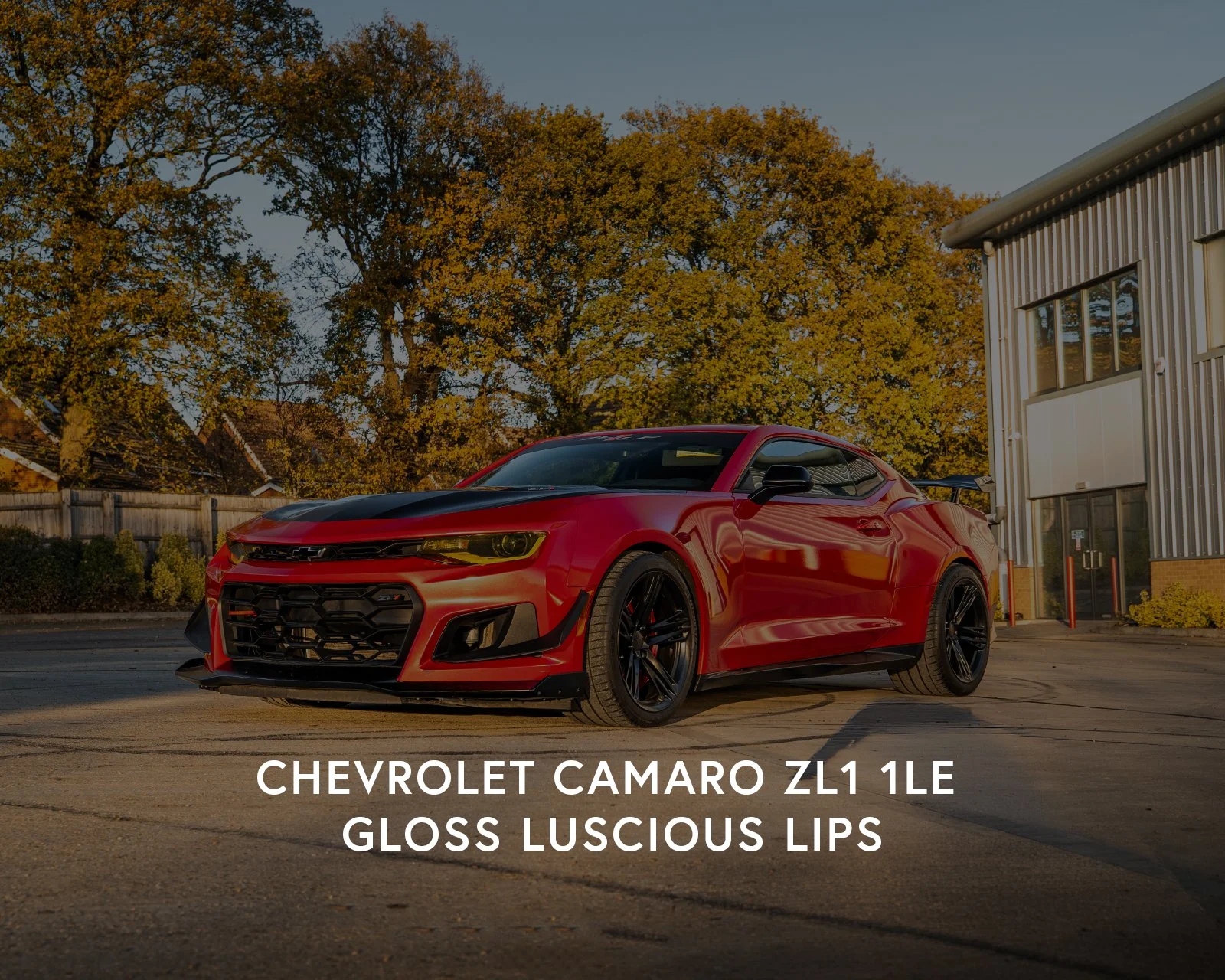 Chevrolet Camaro ZL1 1LE - Gloss Luscious Lips [cover].jpg