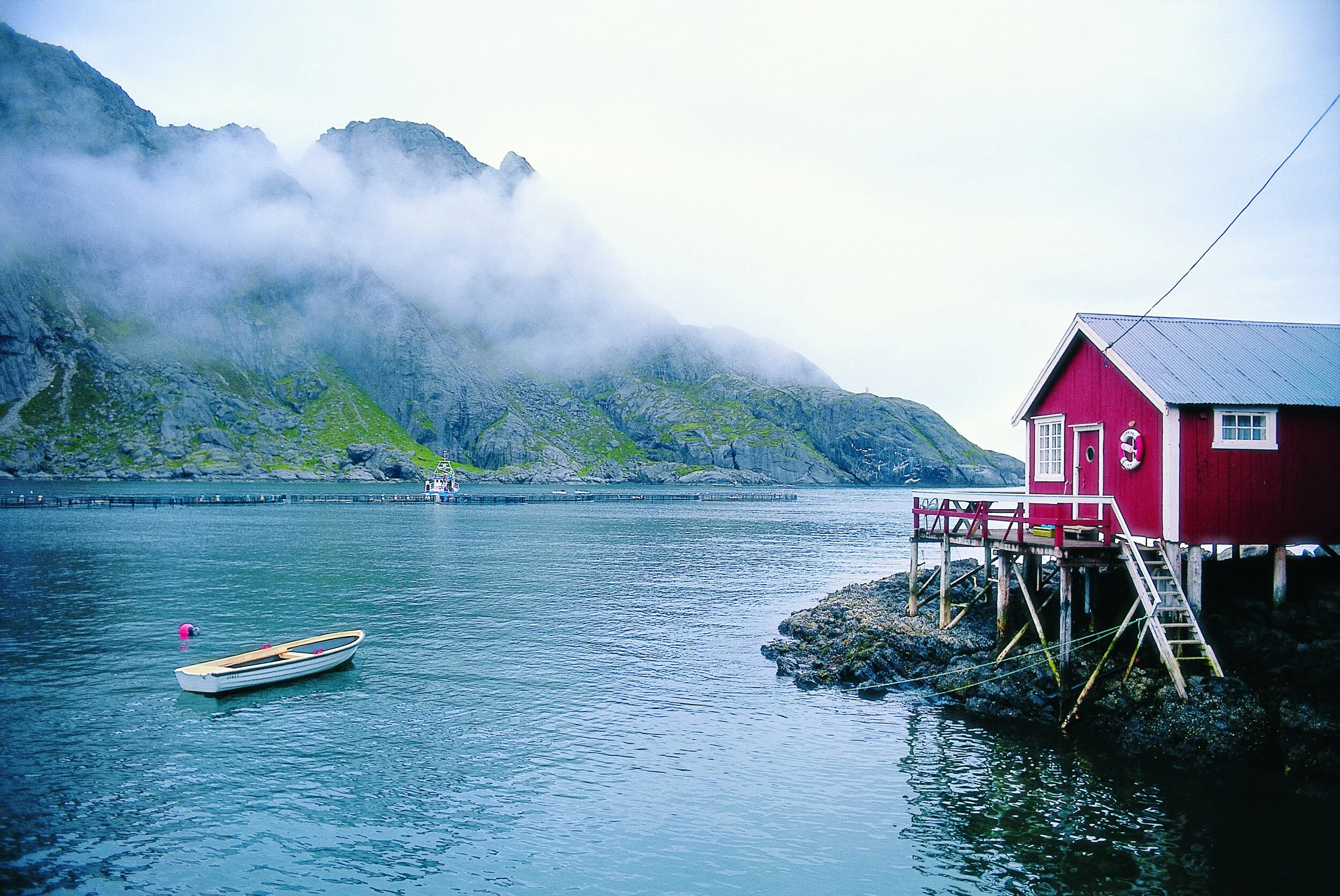 C003 IMMAGINE 1 COSTA FASCINOSA.JPG