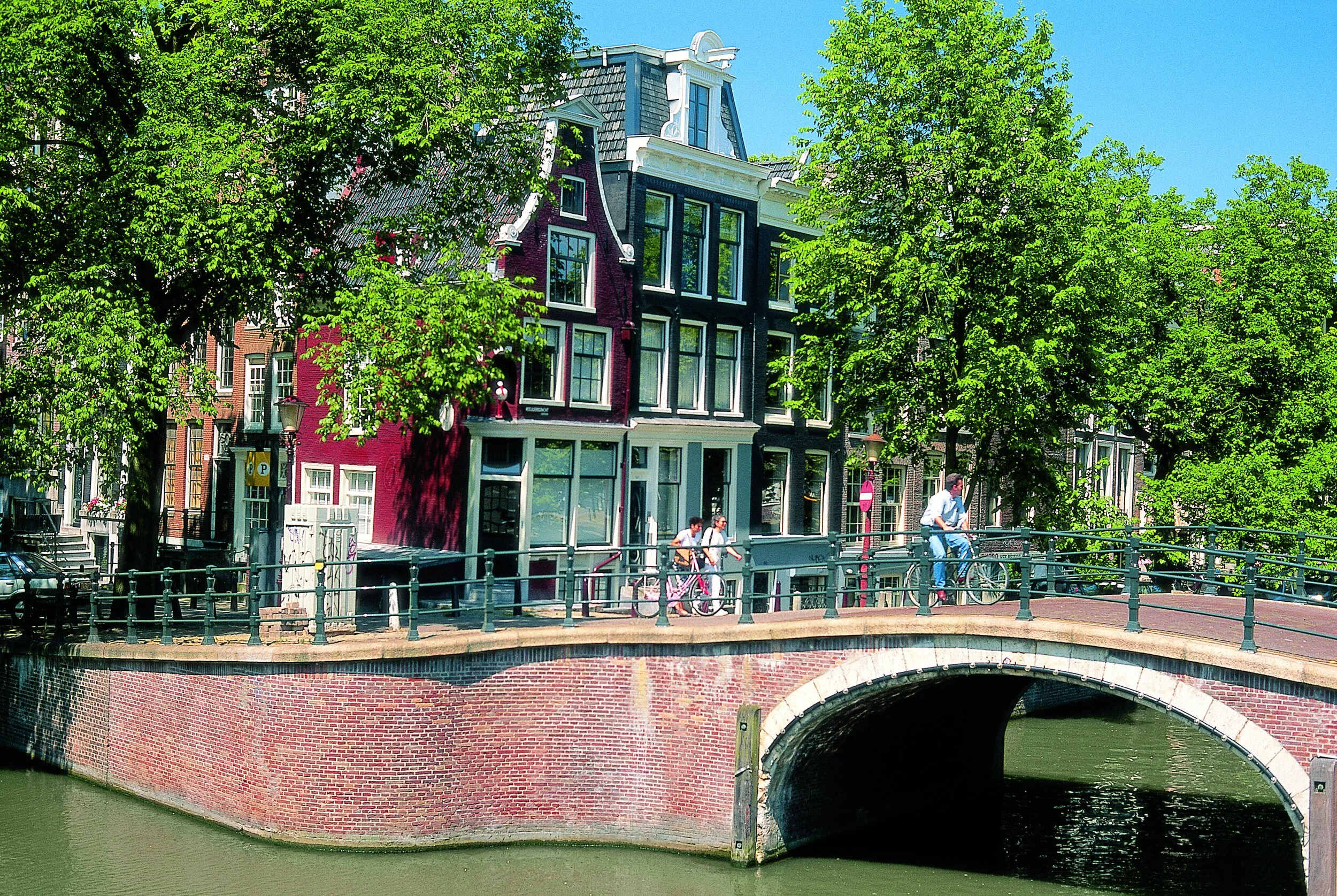 C003 IMMAGINE 2 COSTA FASCINOSA.JPG