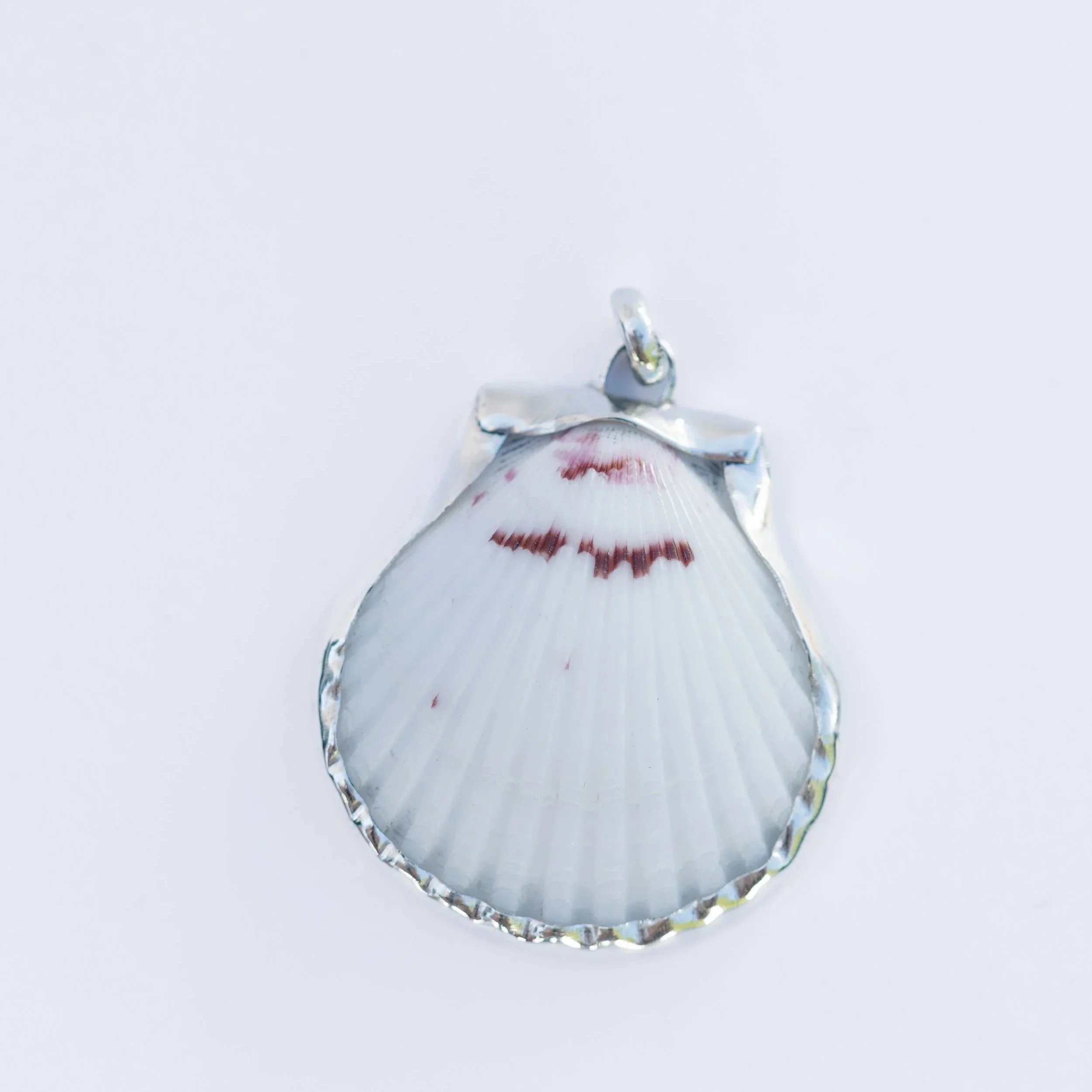 Shell charm