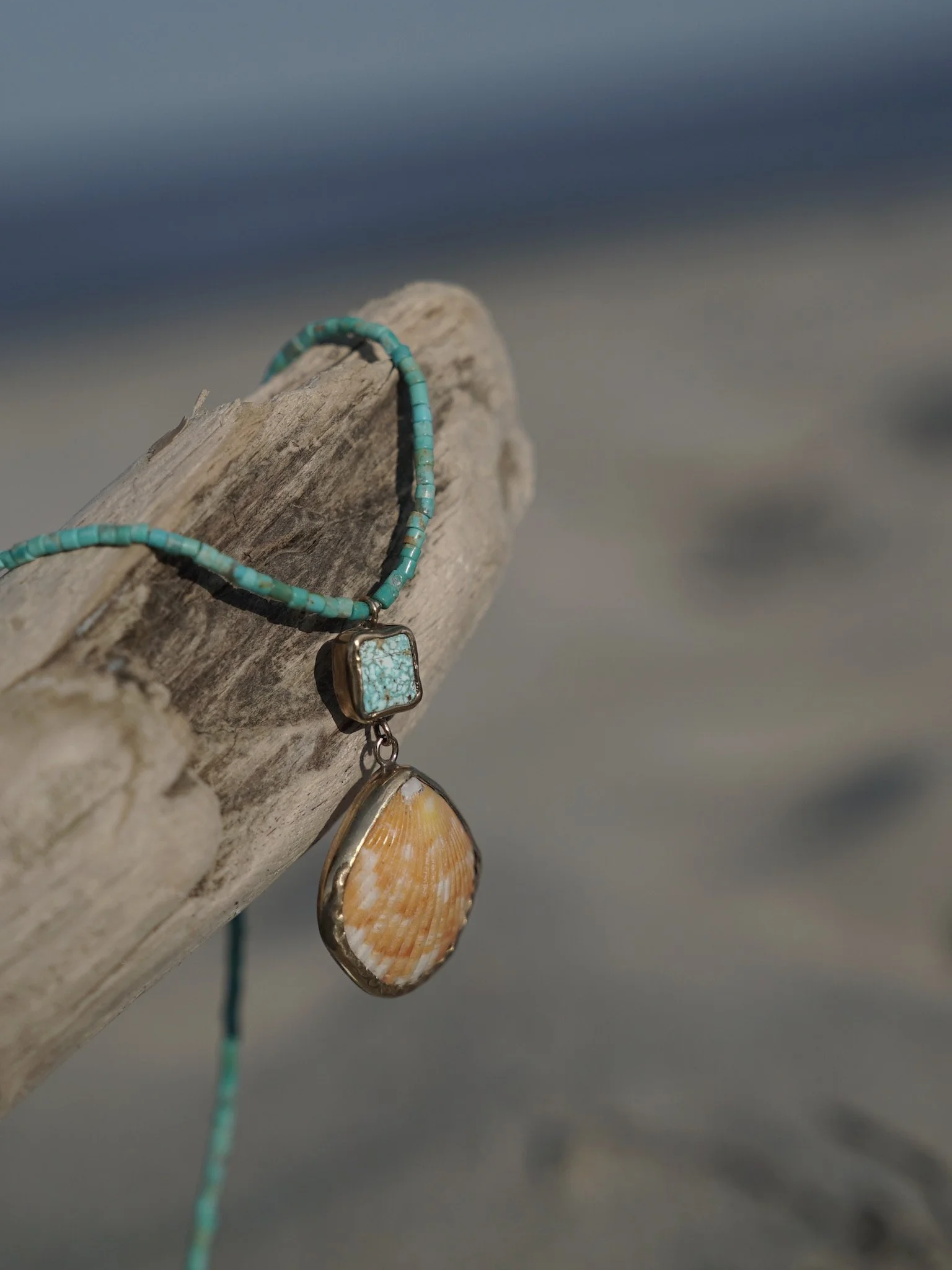 DSC08127.png