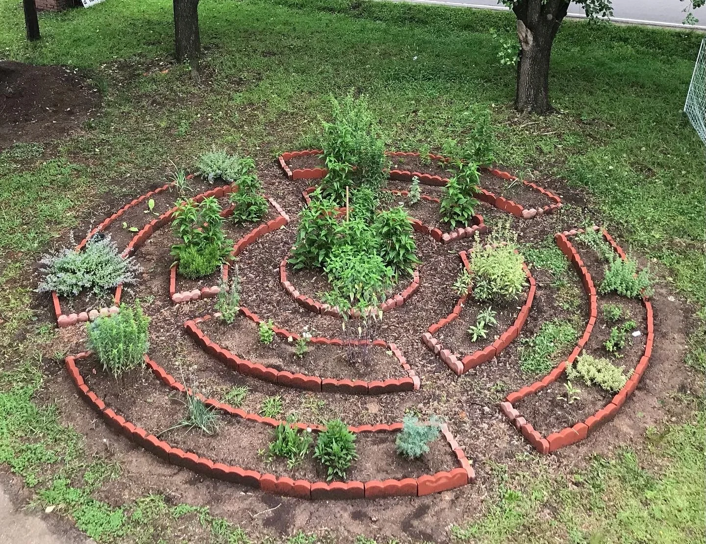 Permaculture Immersion