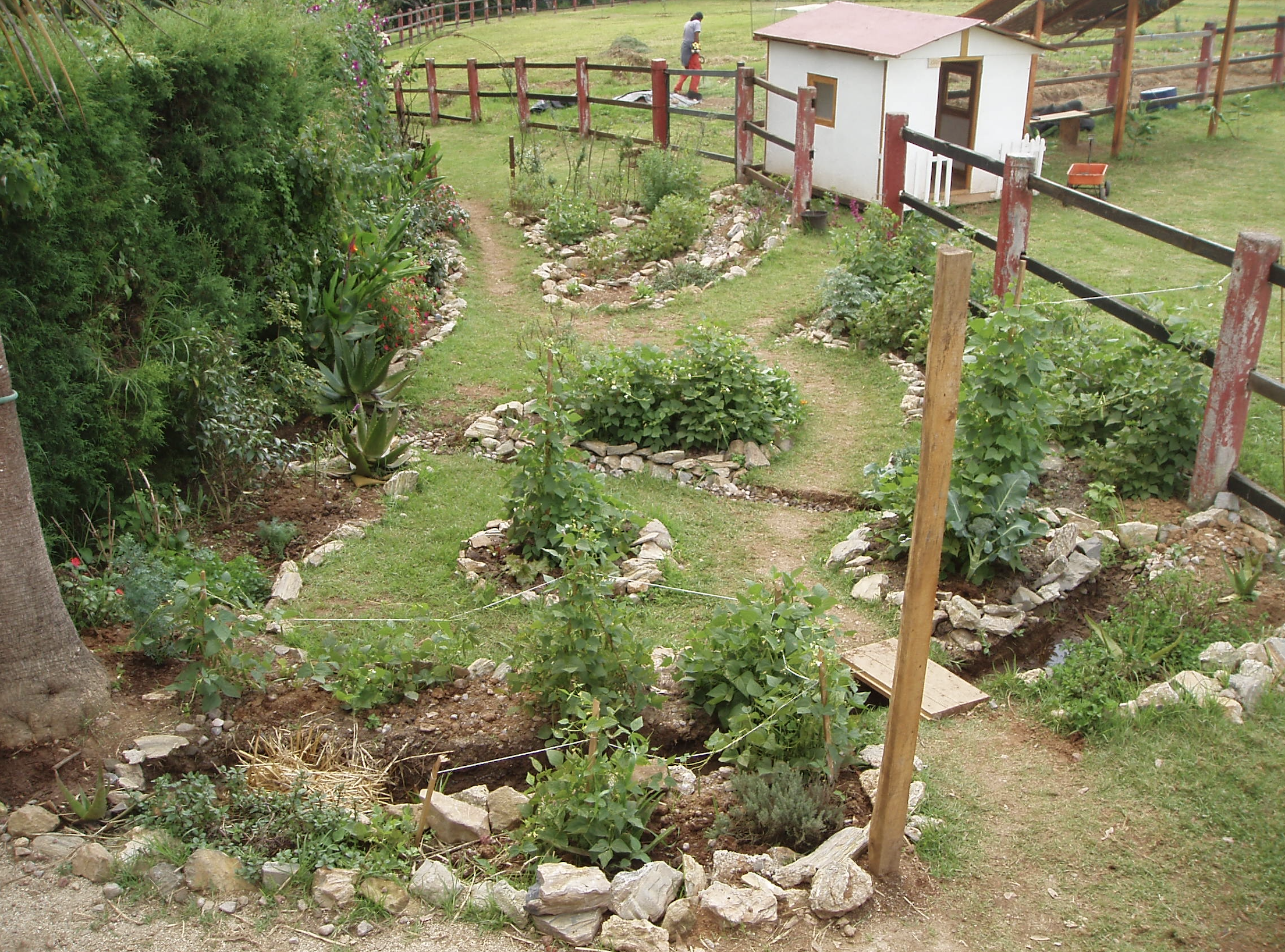 Permacultural garden.png