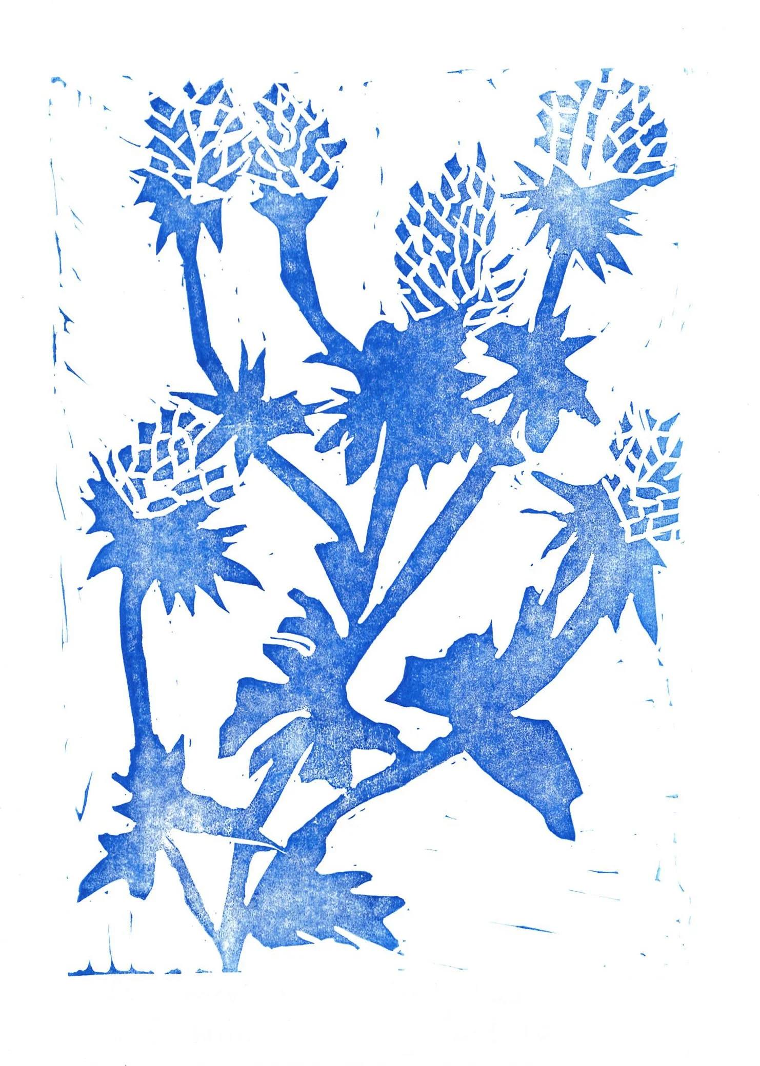 Blue Thistle Linocut.jpg