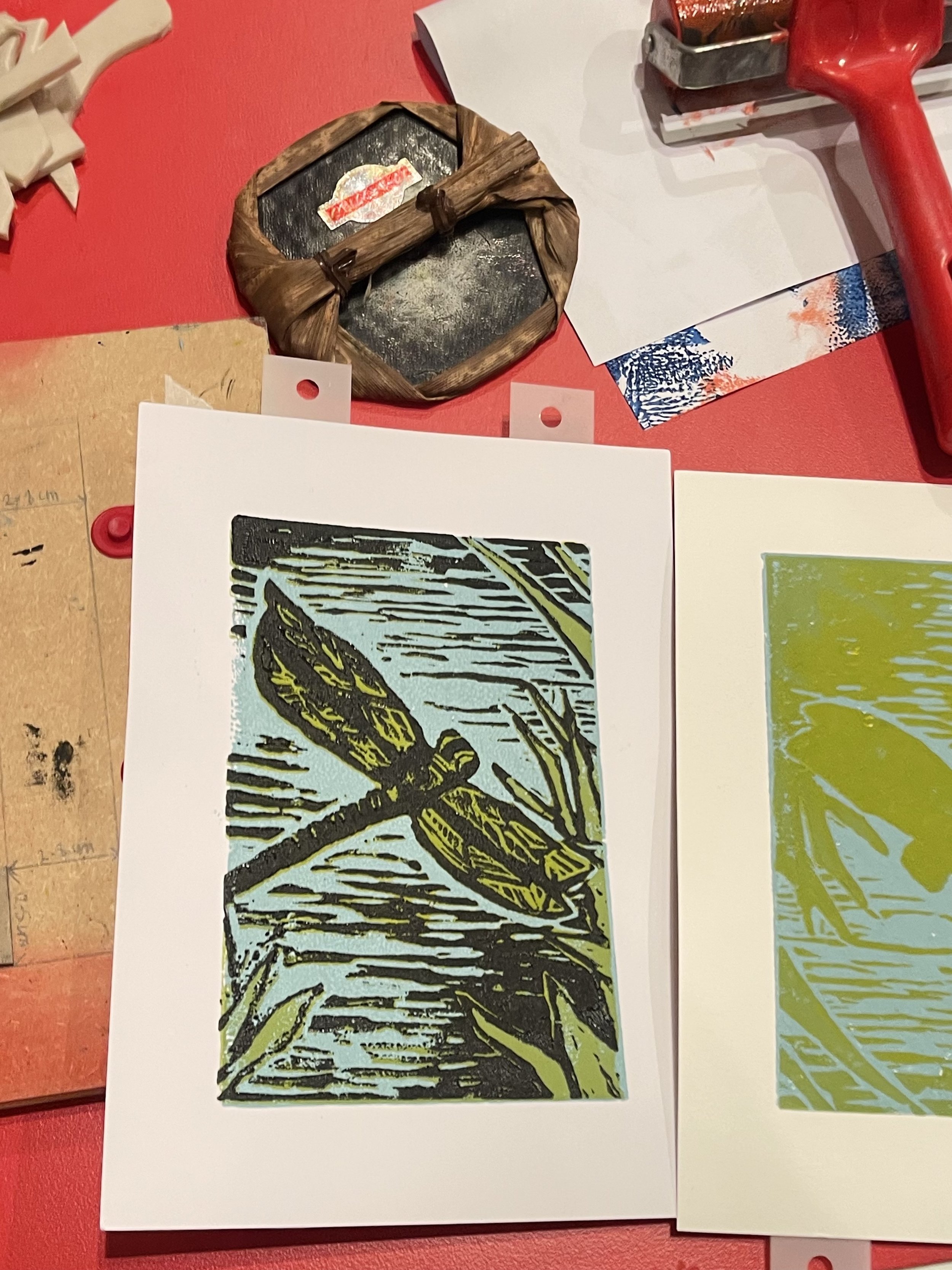 dragonfly.jpg (Copy)