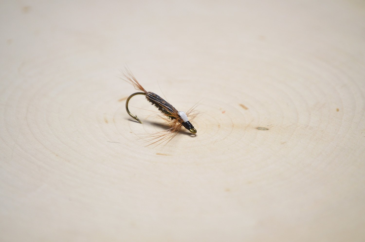 Eddy George Nymph