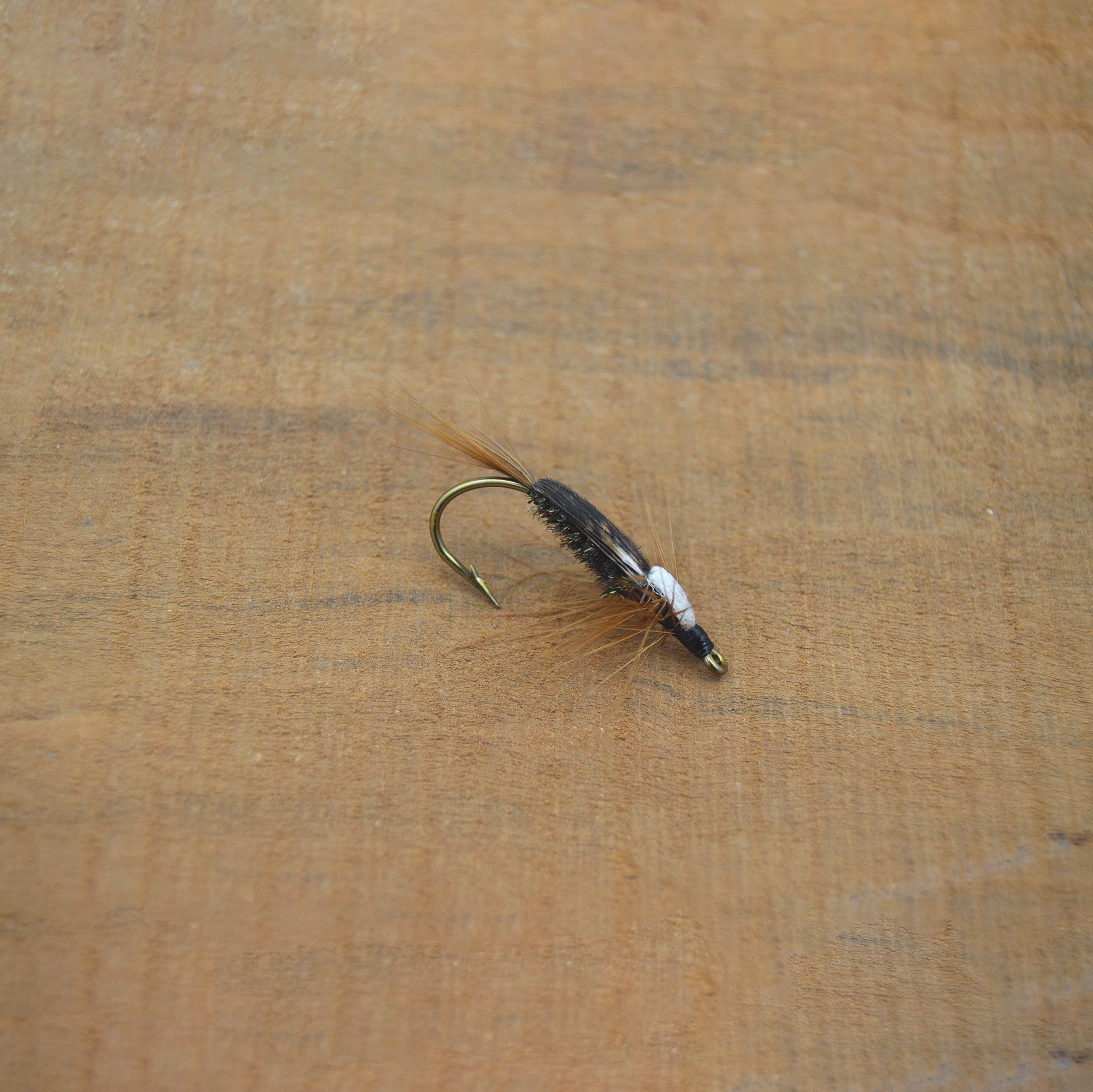 Eddy George Nymph