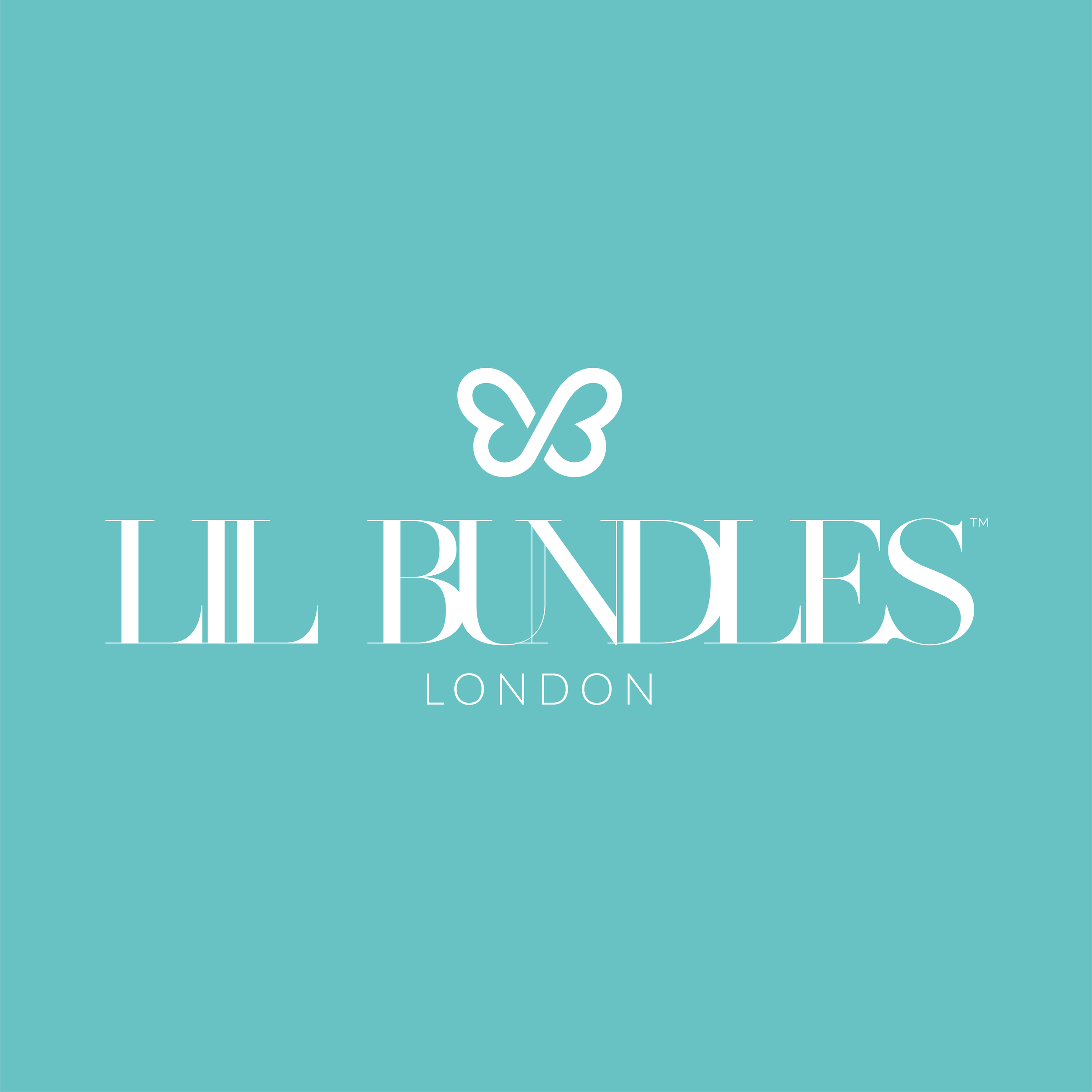 Lil Bundles Case Study Grid Logo COLOUR.png