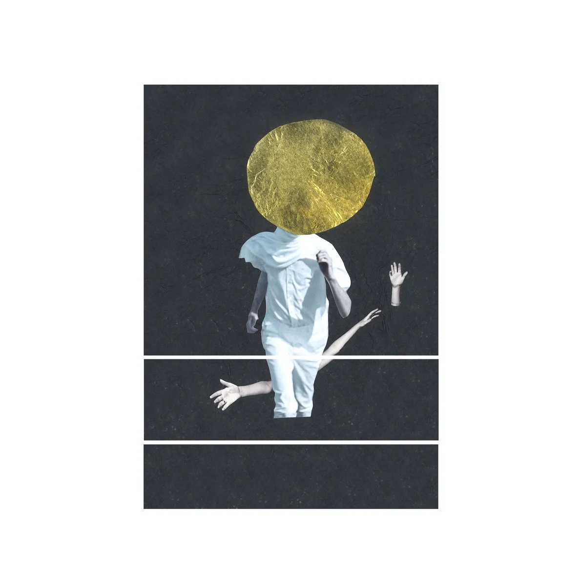 The Vernon Spring - A Plane Over Woods