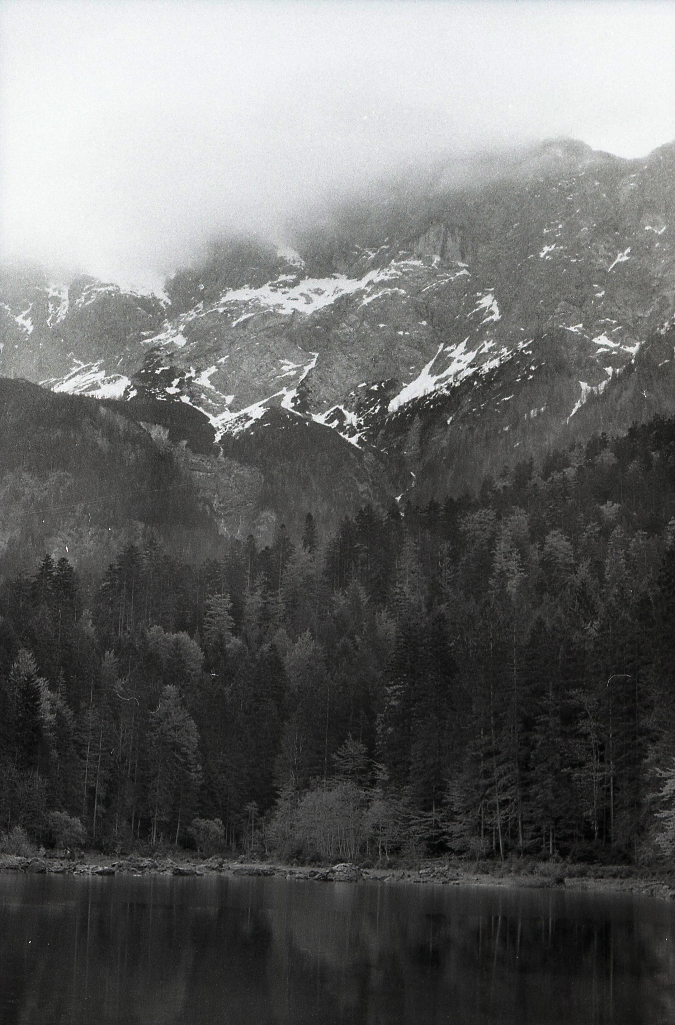 bnw023_copy.jpg