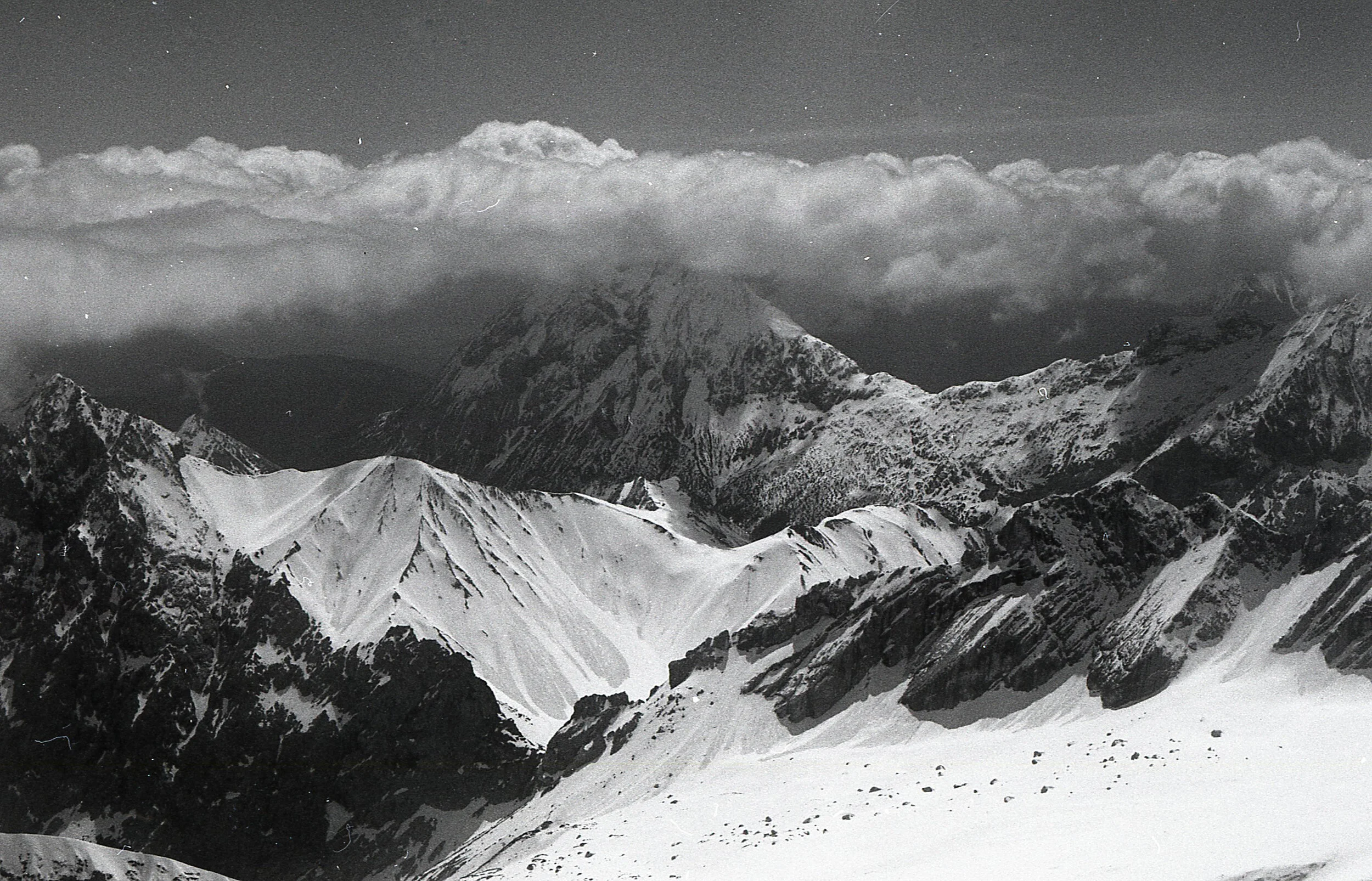bnw029 copy.jpg