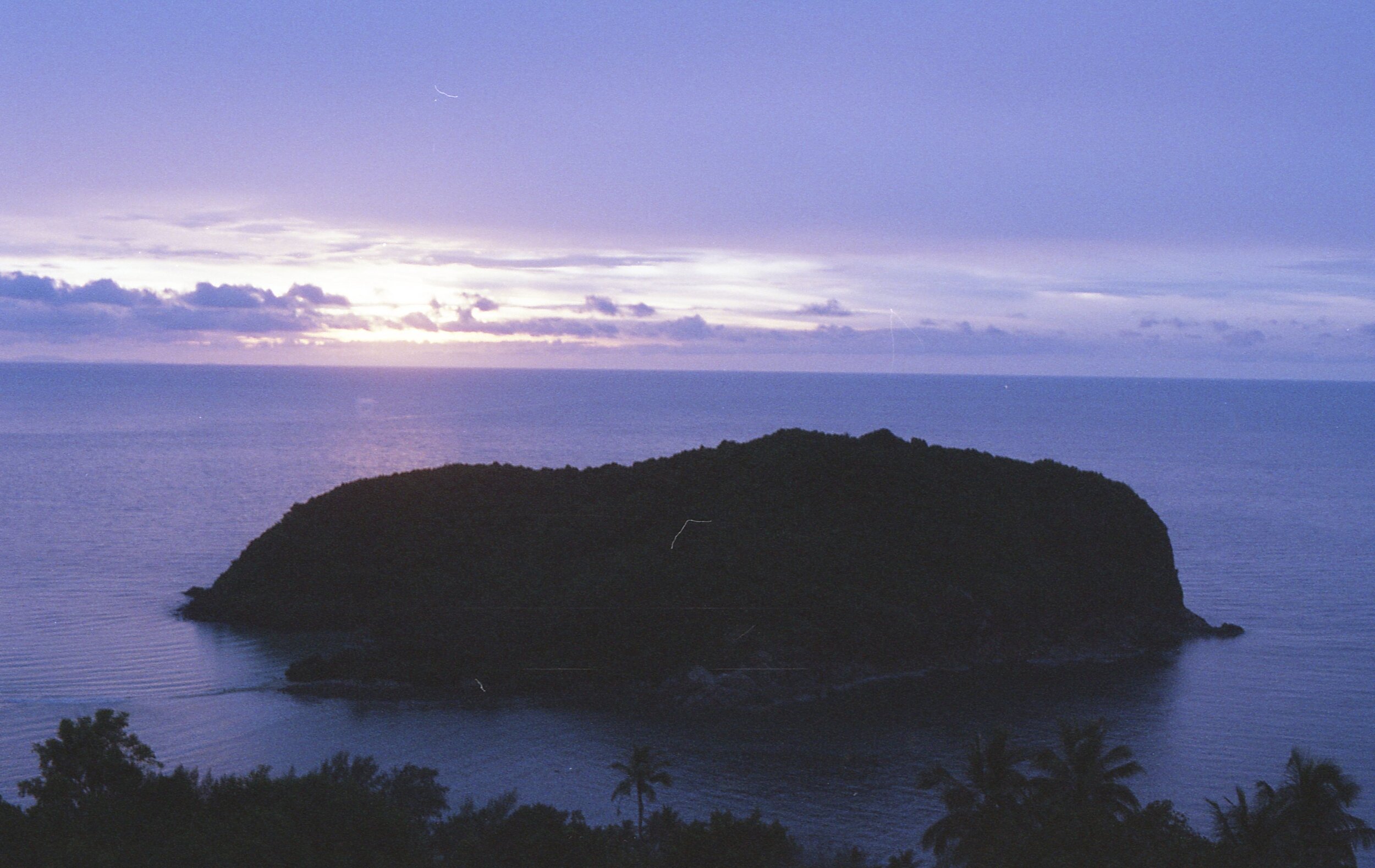 potra034.jpg
