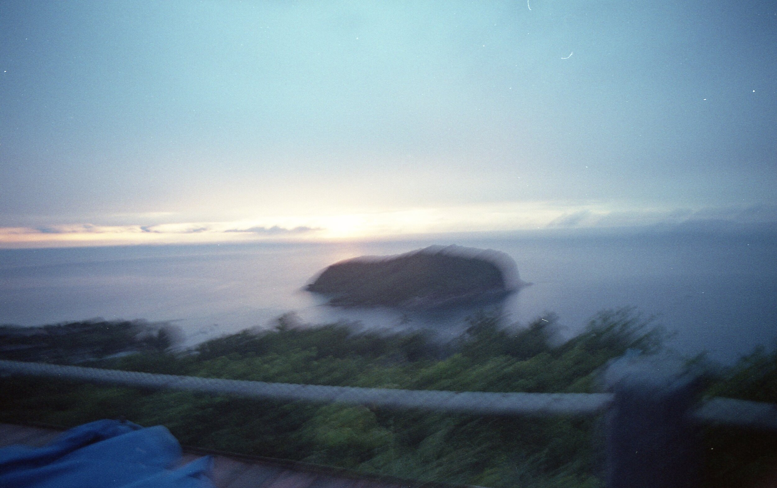 potra035.jpg