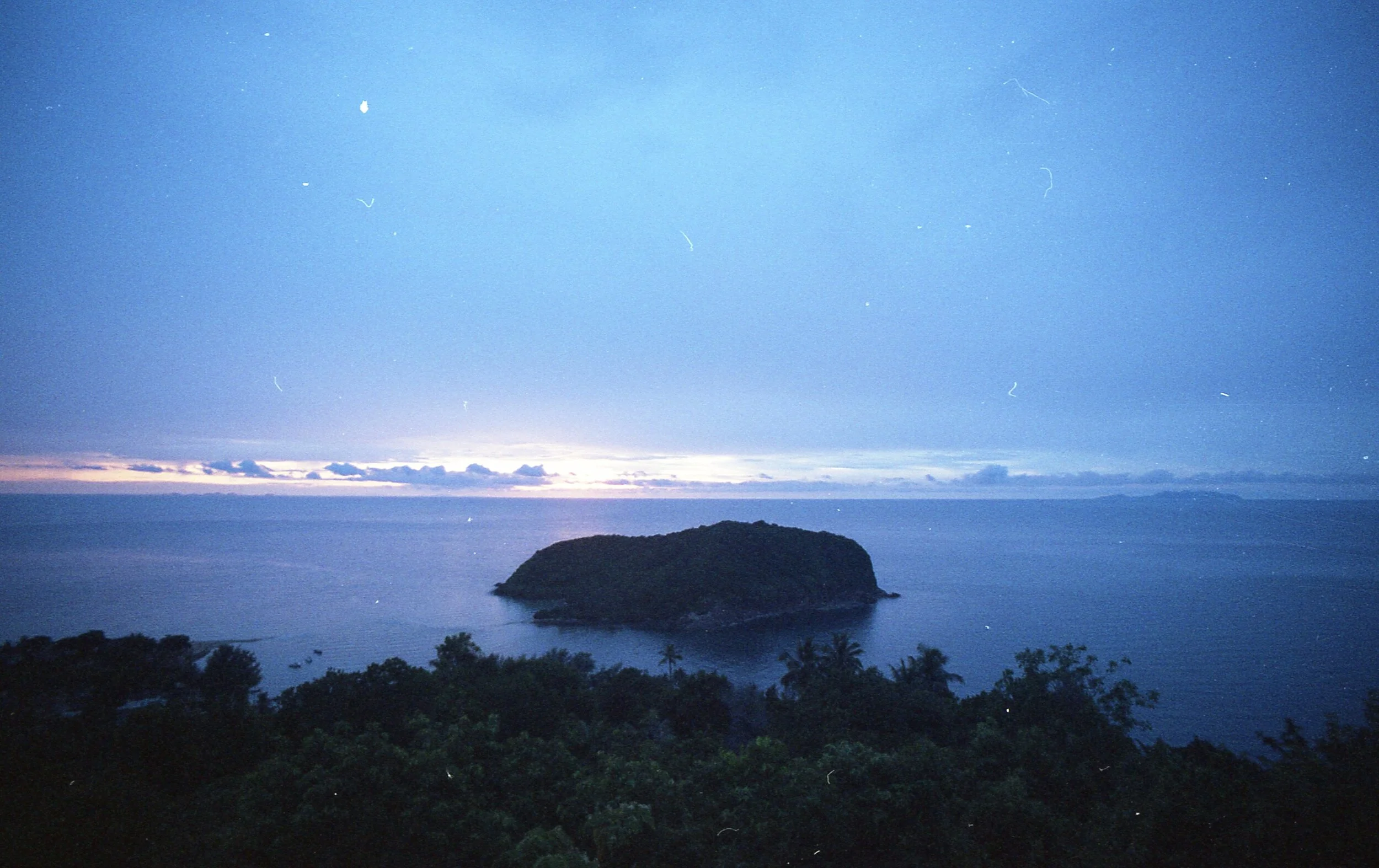 potra036.jpg