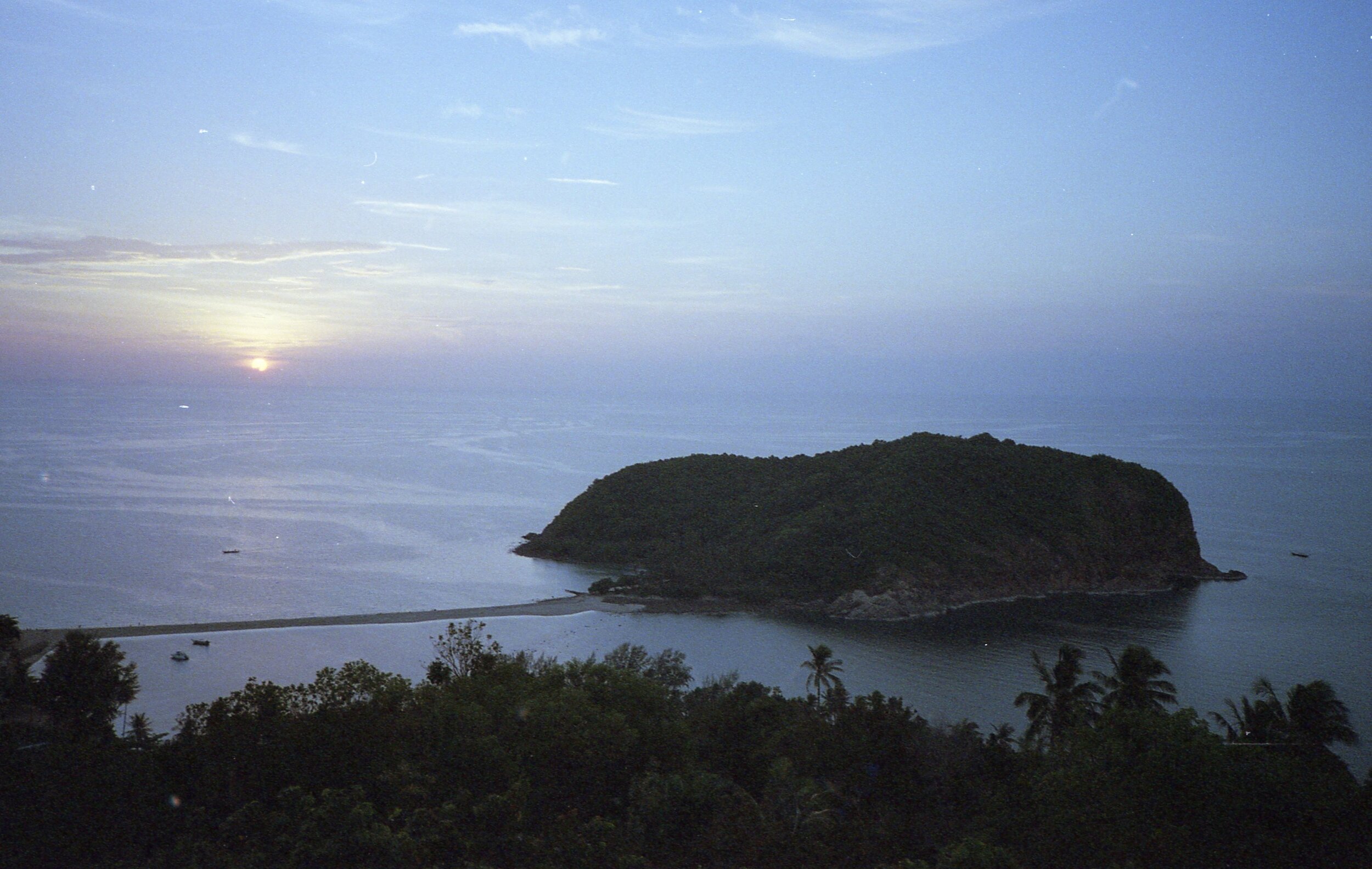 potra800048.jpg