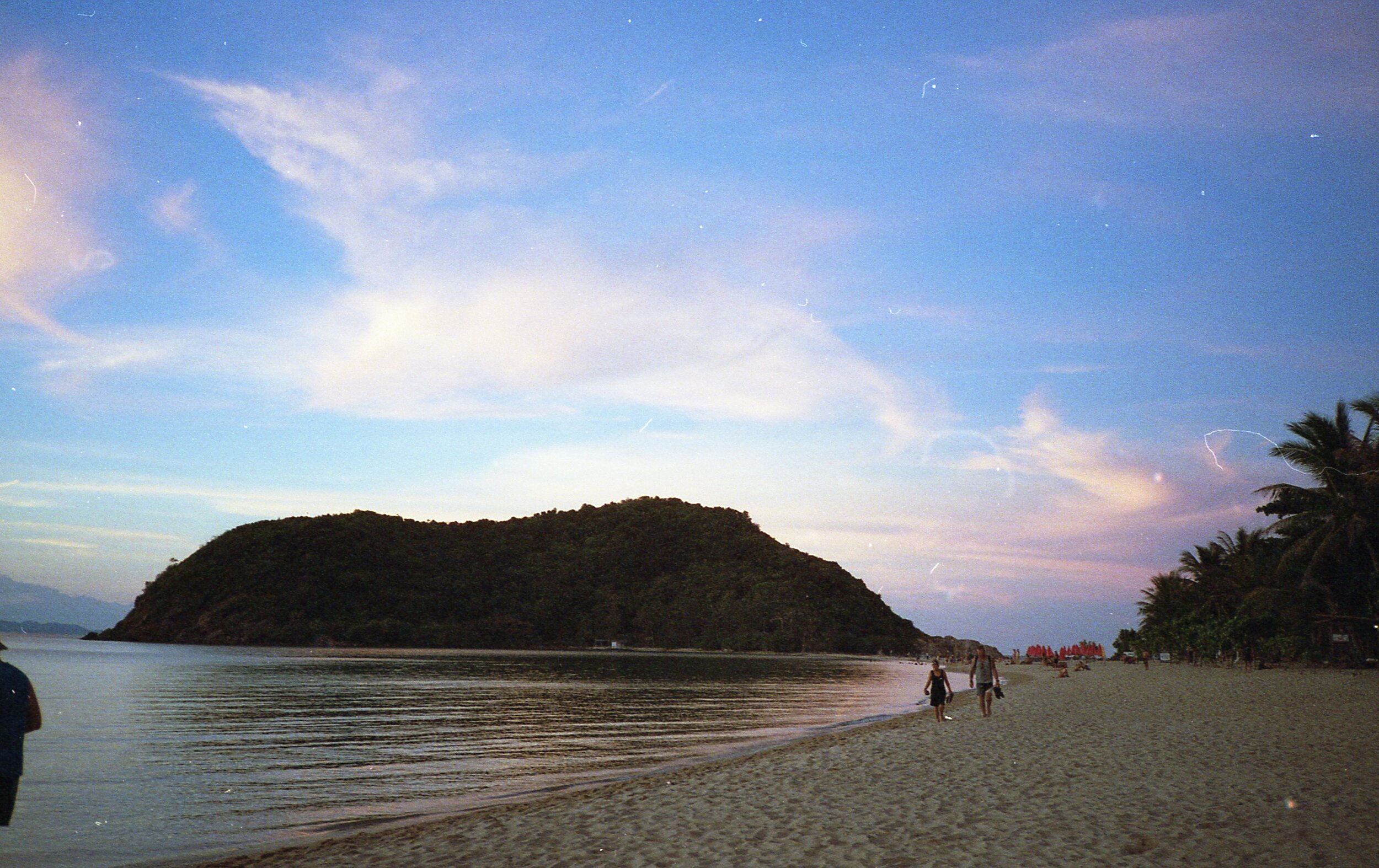 potra800070.jpg