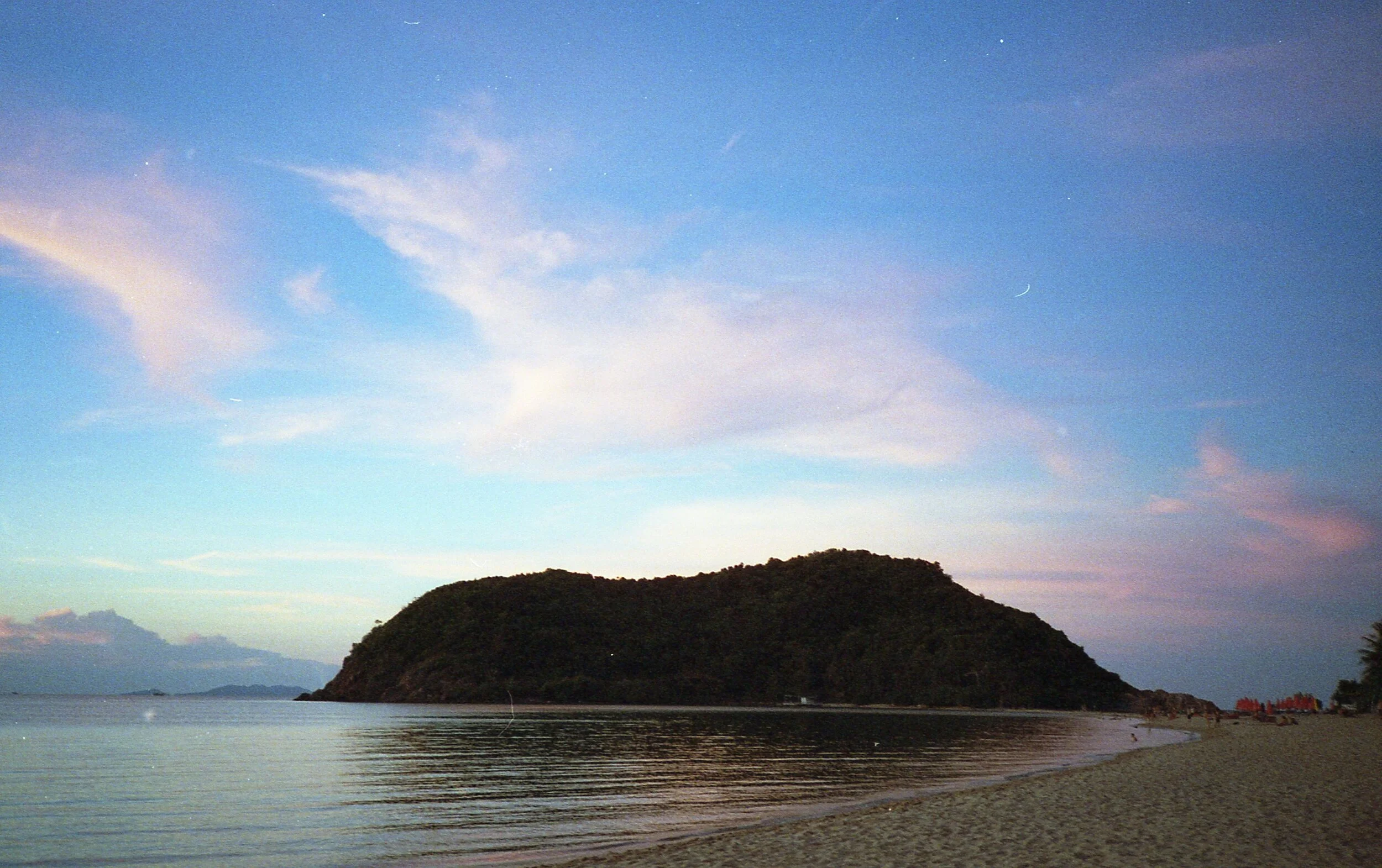 potra800071.jpg