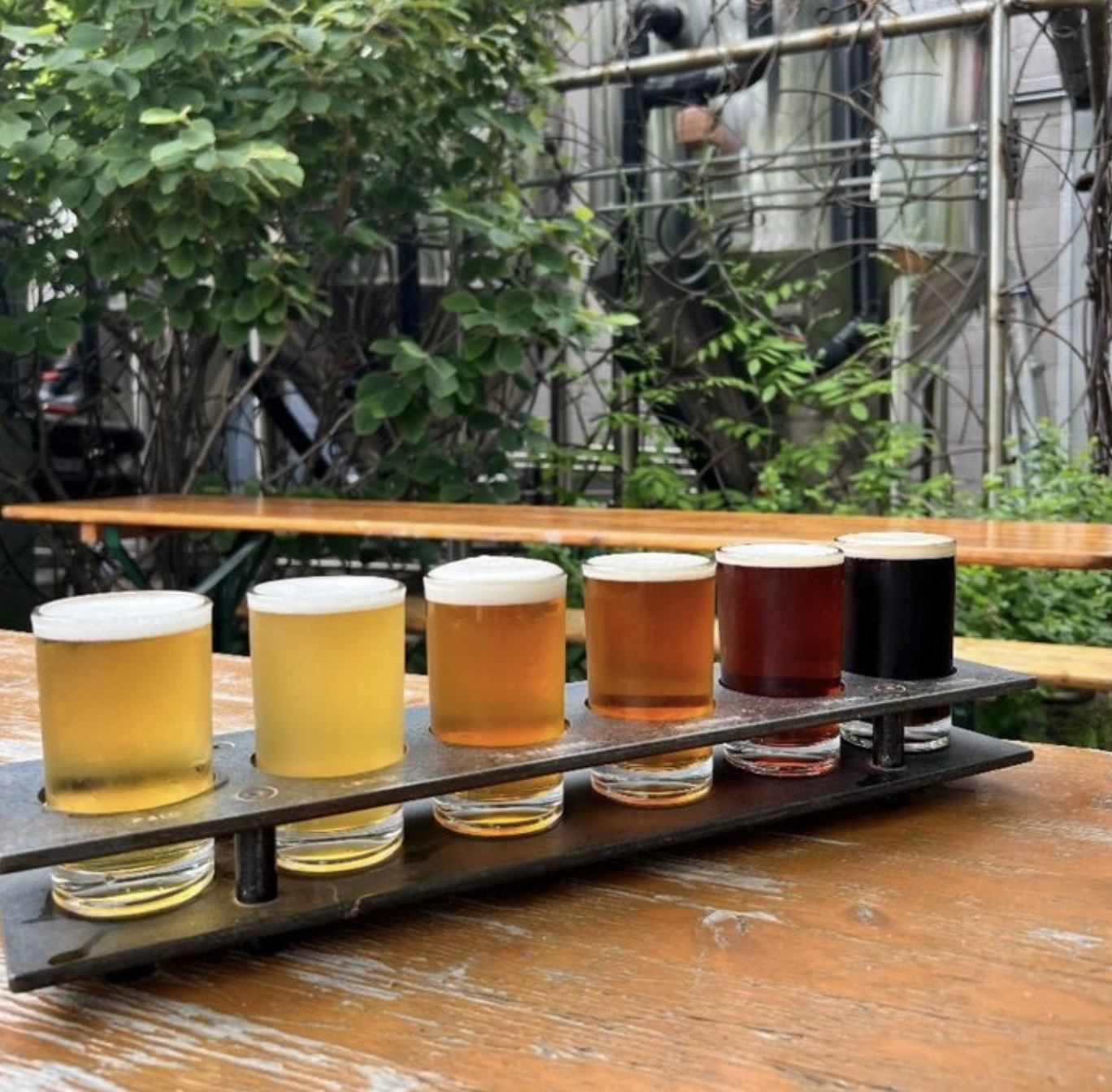 Screen Shot 2022-09-21 at 3.19.34 PM.png