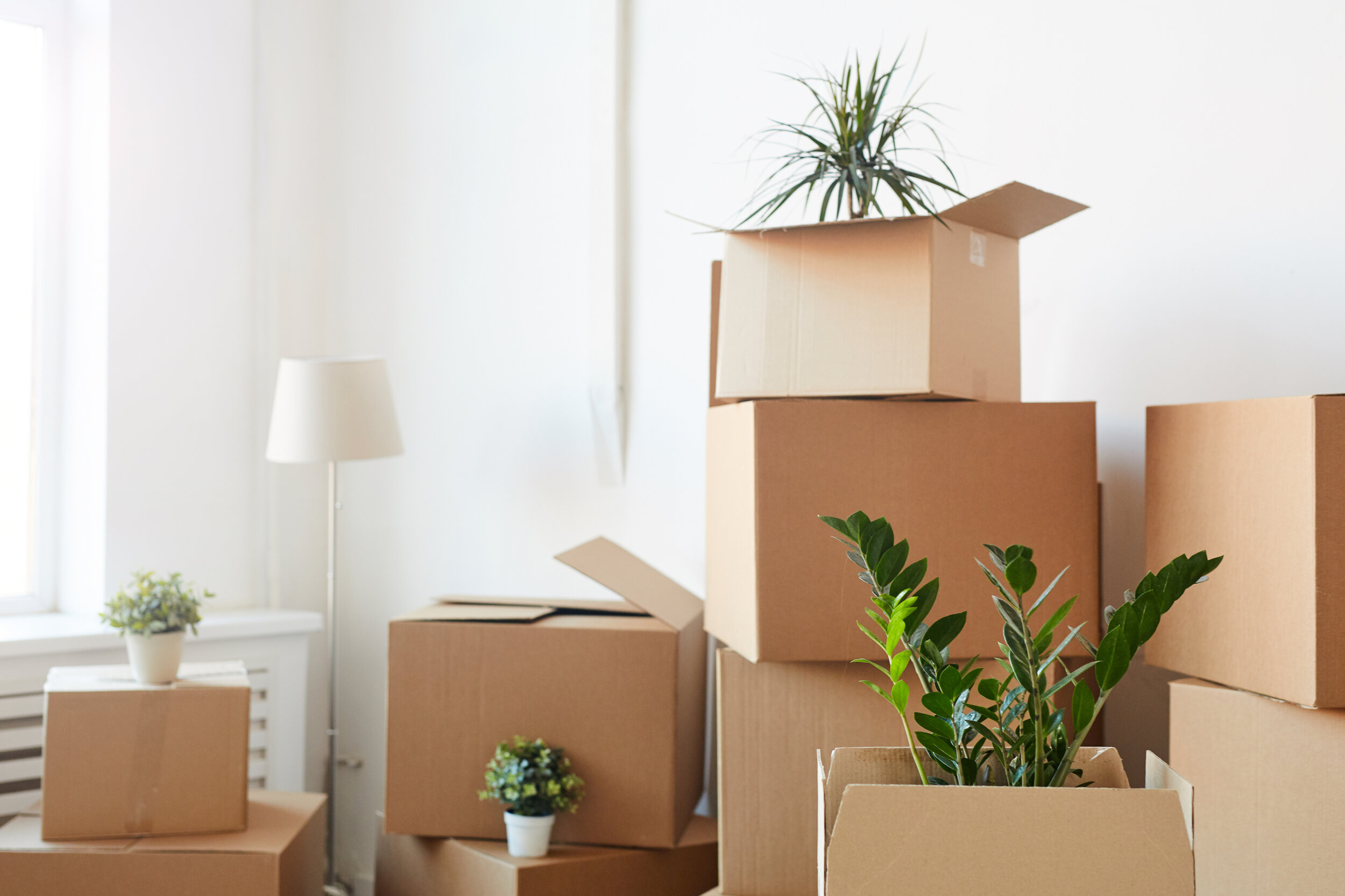 The Realities of Relocation