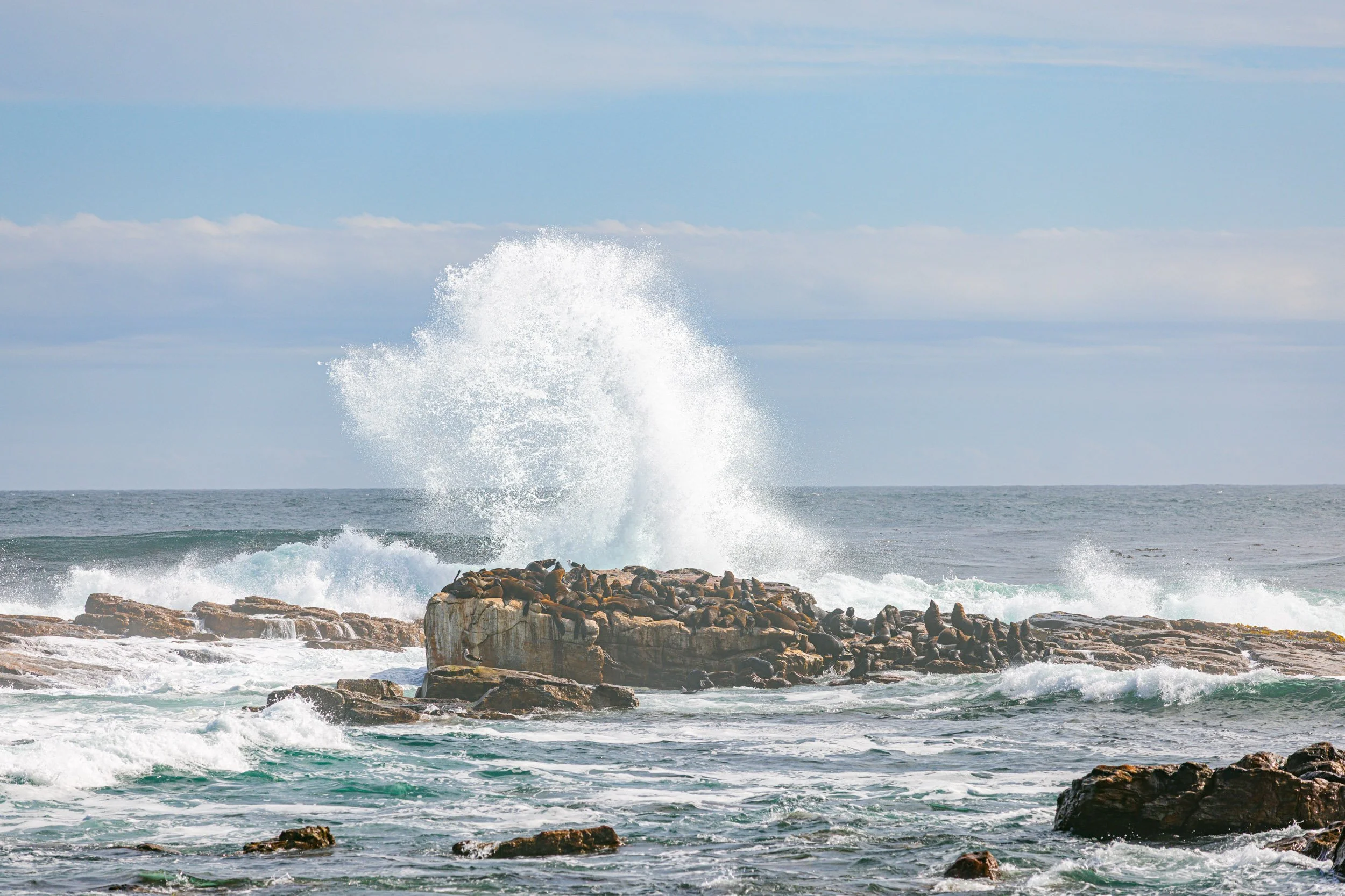 Travel_South Africa 2023_Peterndungu.com-12.jpg