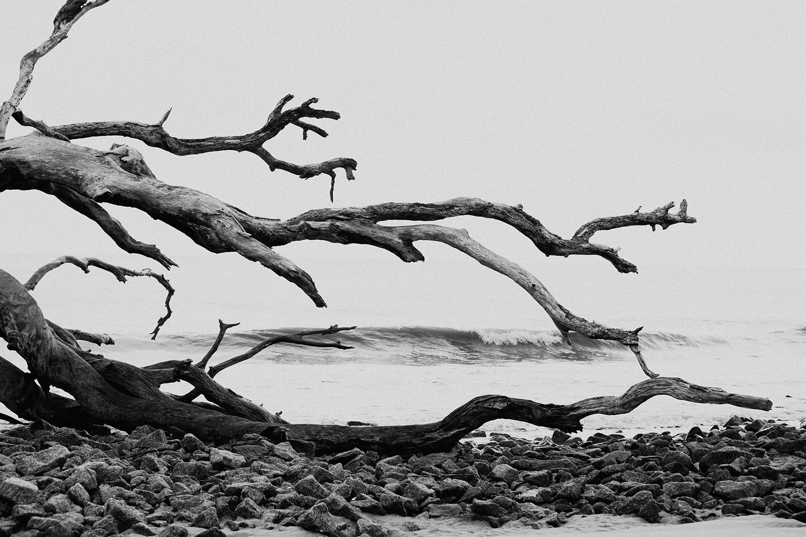 driftwood-beach-engagement-savannah-elopement-photographer-179_websize.jpg