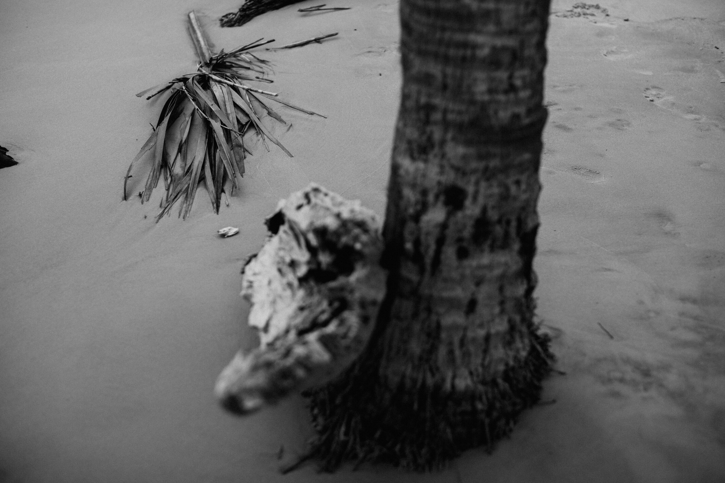 driftwood-beach-engagement-savannah-elopement-photographer-212.jpg