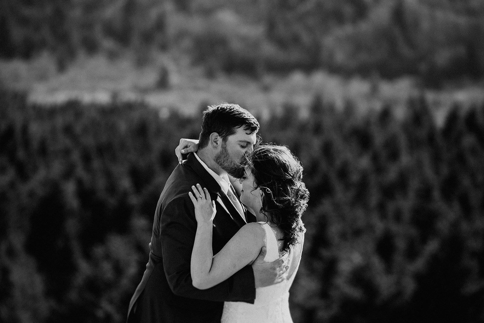 black-balsam-knob-elopement-north-carolina-wedding-photographer-elope-in-asheville-333_websize.jpg