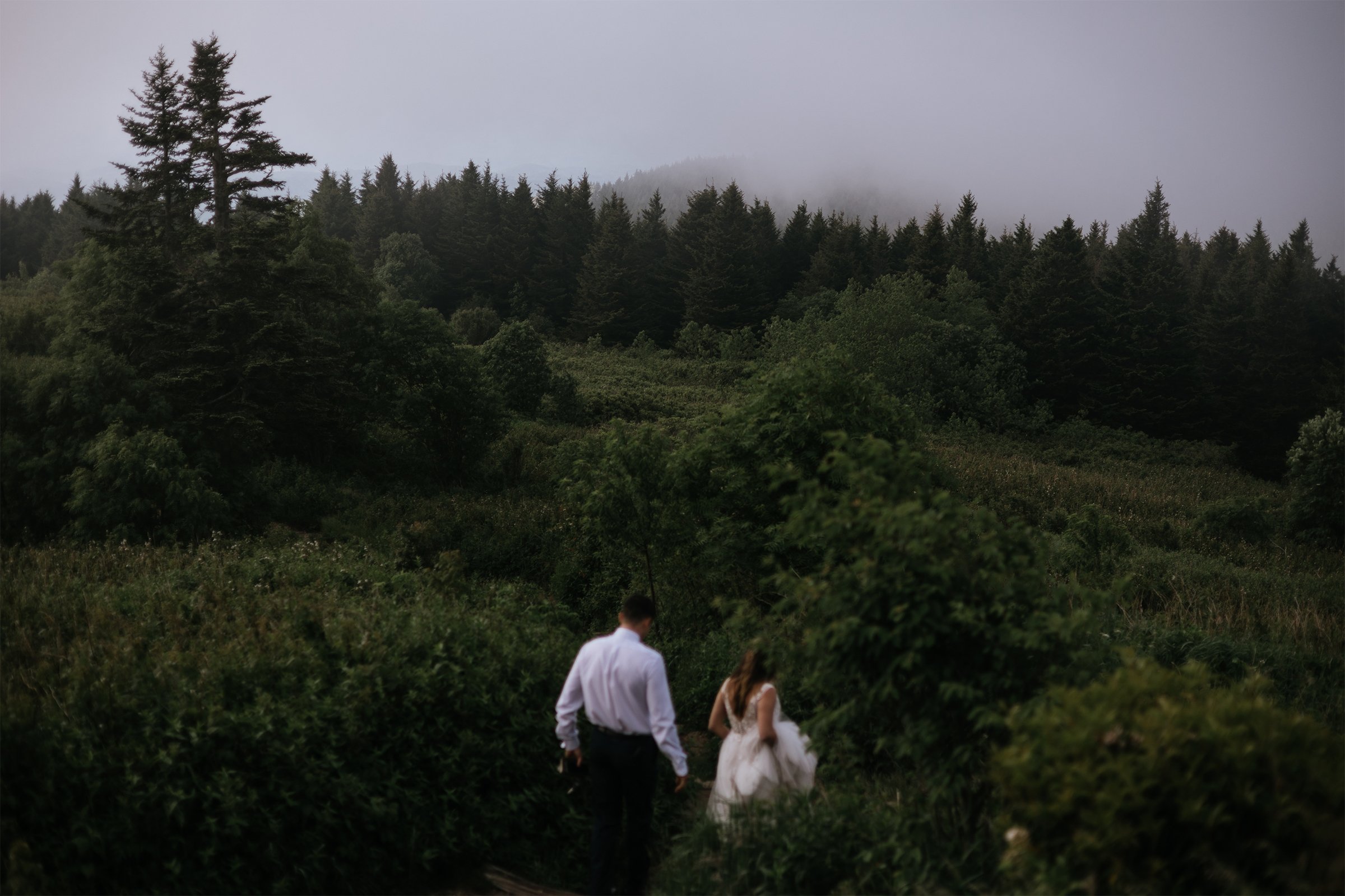 Asheville-elopement-photographer-black-balsam-knob-elopement  18.jpg