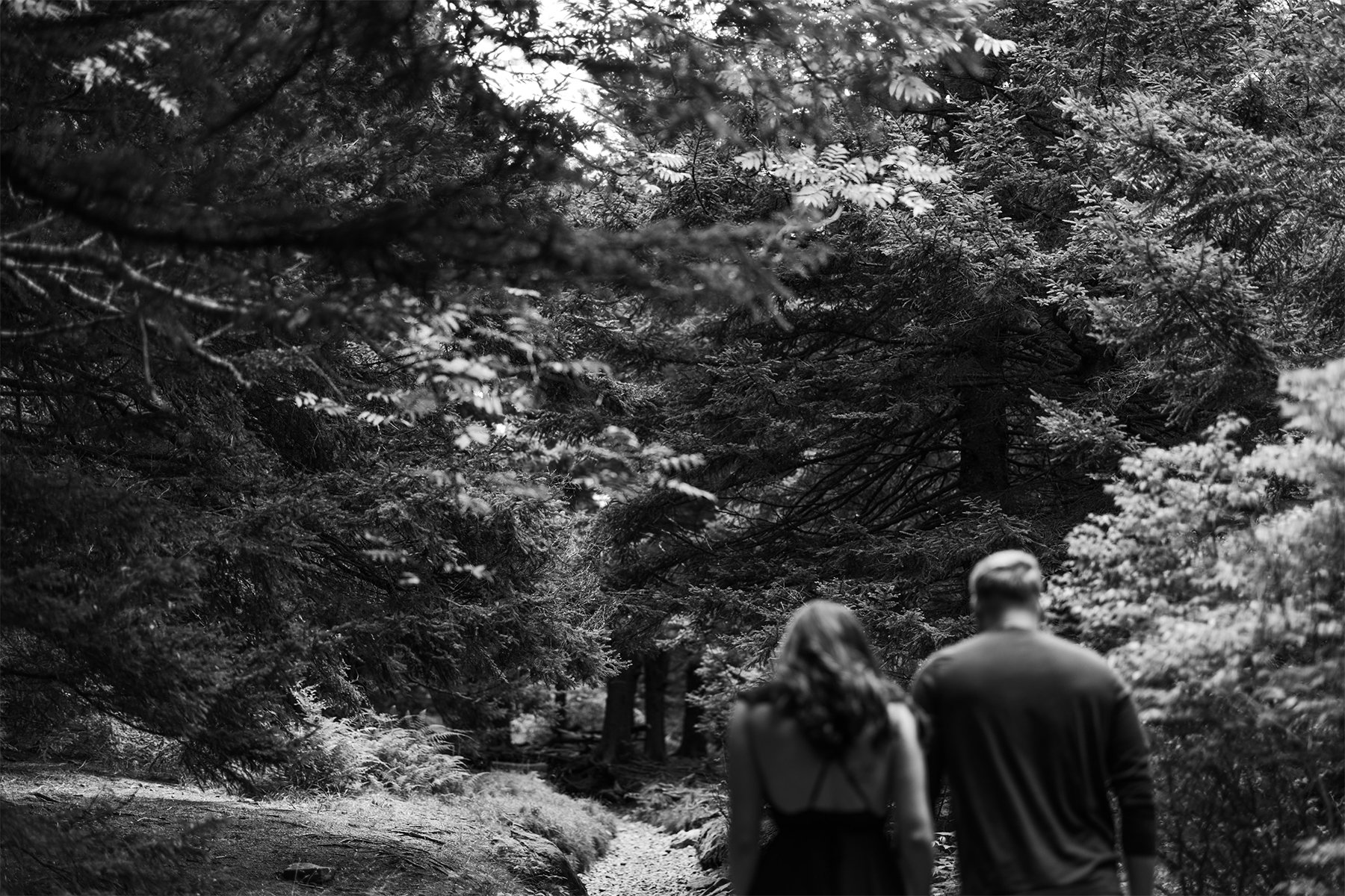 Black-balsam-knob-engagement-asheville-elopement-photographer.jpg