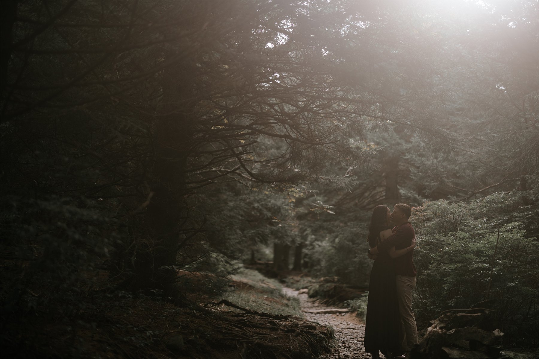 Black-balsam-knob-engagement-asheville-elopement-photographer 2.jpg