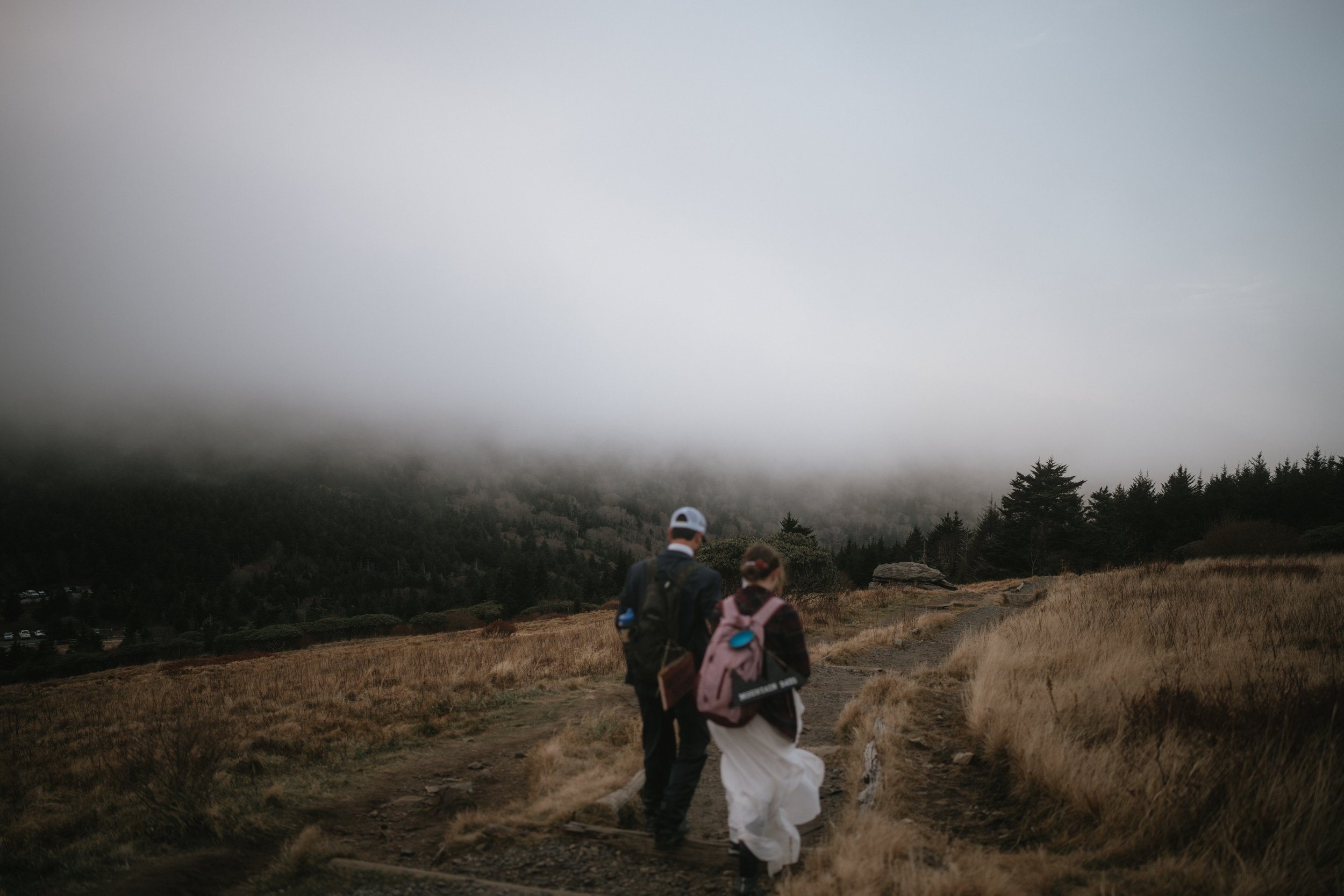 carvers-gap-roan-mountain-elopement-asheville-elopement-photographer-385.jpg