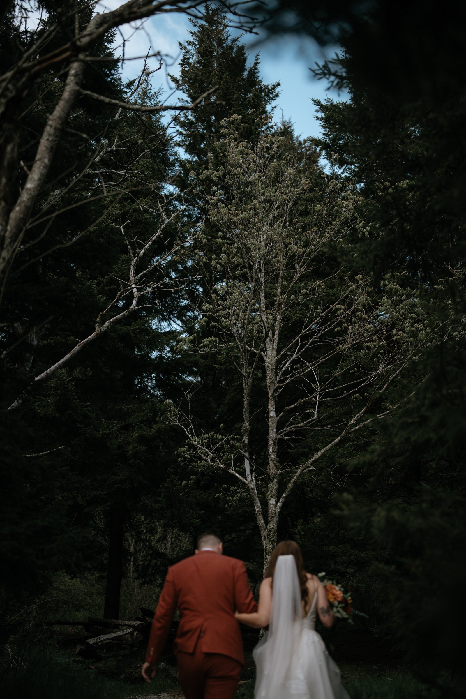 foggy-black-balsam-knob-mountain-elopement-asheville-wedding-photographer-23.jpg