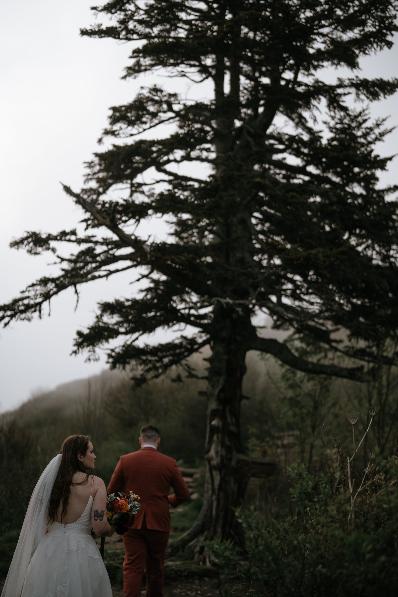 foggy-black-balsam-knob-mountain-elopement-asheville-wedding-photographer-27.jpg