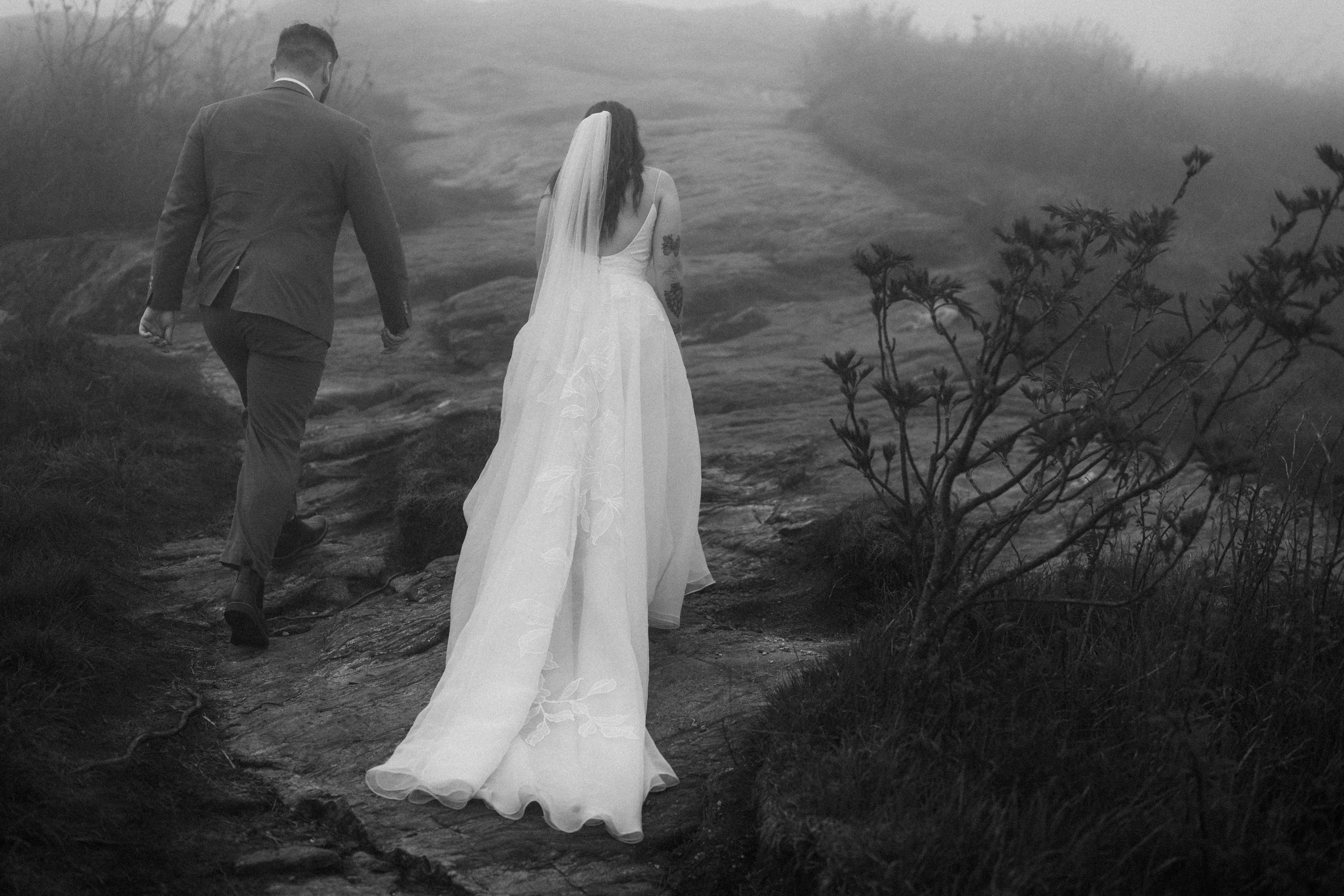 foggy-black-balsam-knob-mountain-elopement-asheville-wedding-photographer-44.jpg