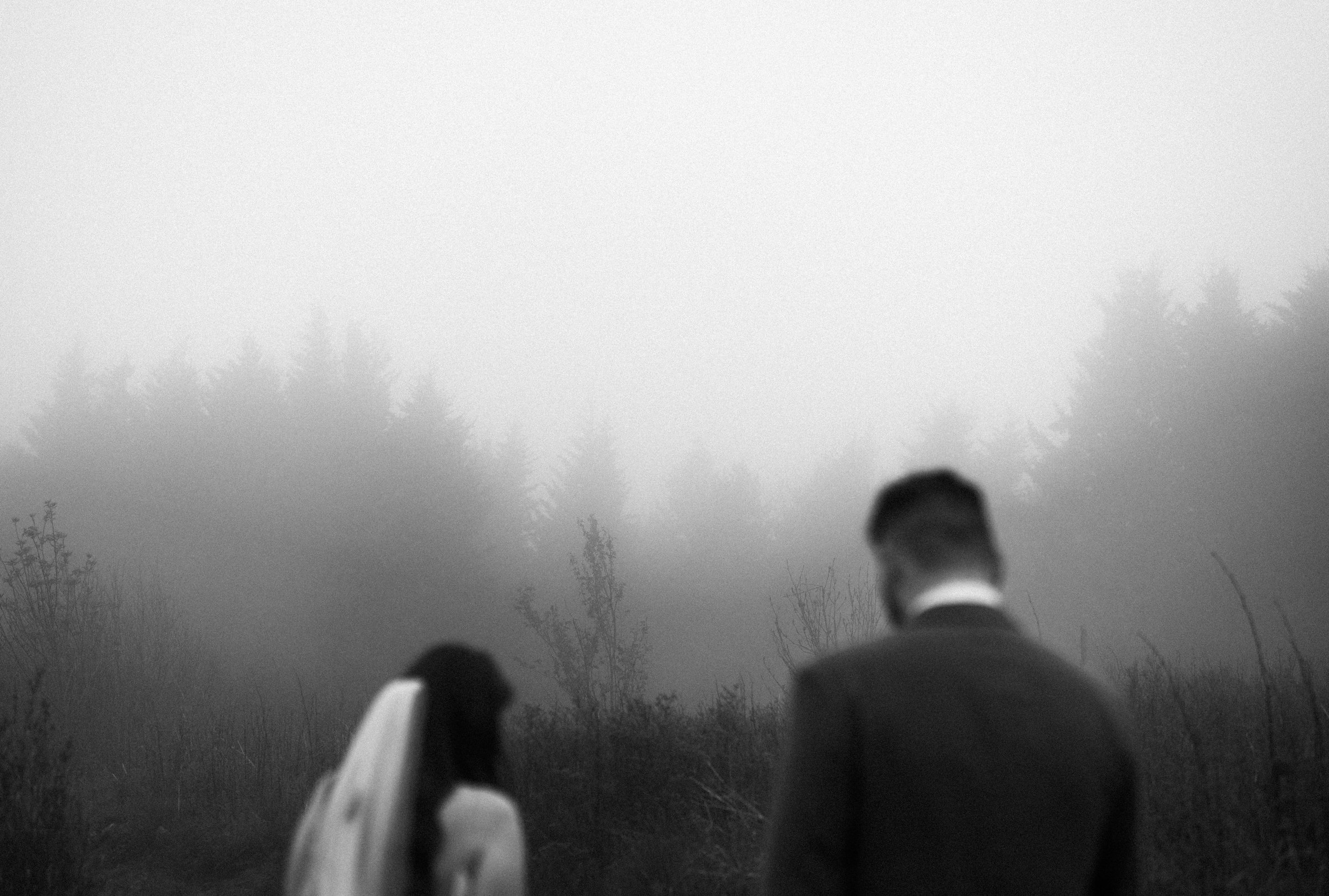 foggy-black-balsam-knob-mountain-elopement-asheville-wedding-photographer-60.jpg