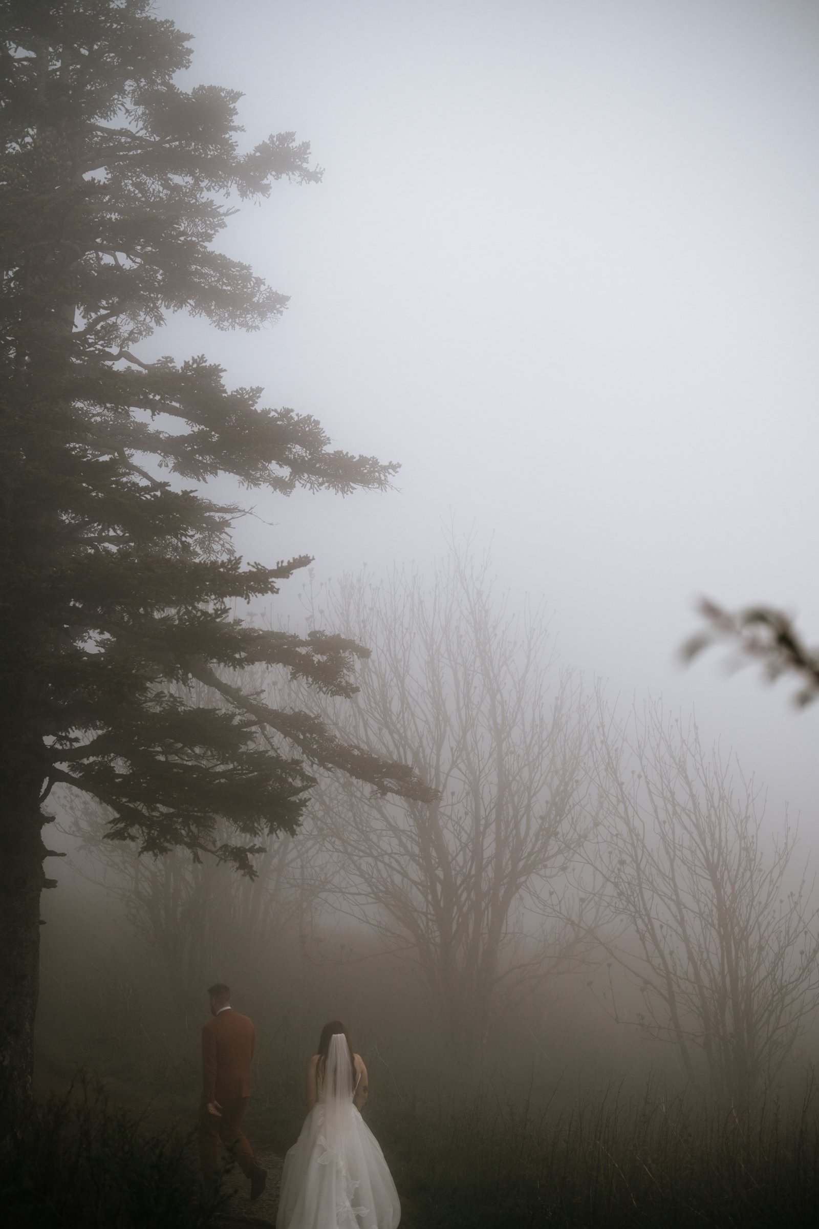 foggy-black-balsam-knob-mountain-elopement-asheville-wedding-photographer-58.jpg